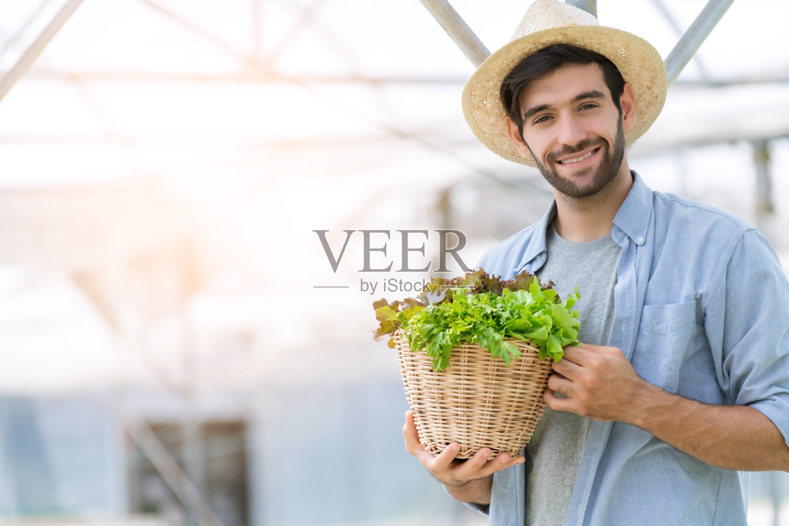 聪明的白人业主小型企业温室水培蔬菜农场持有植物板条箱沙拉在农场照片摄影图片