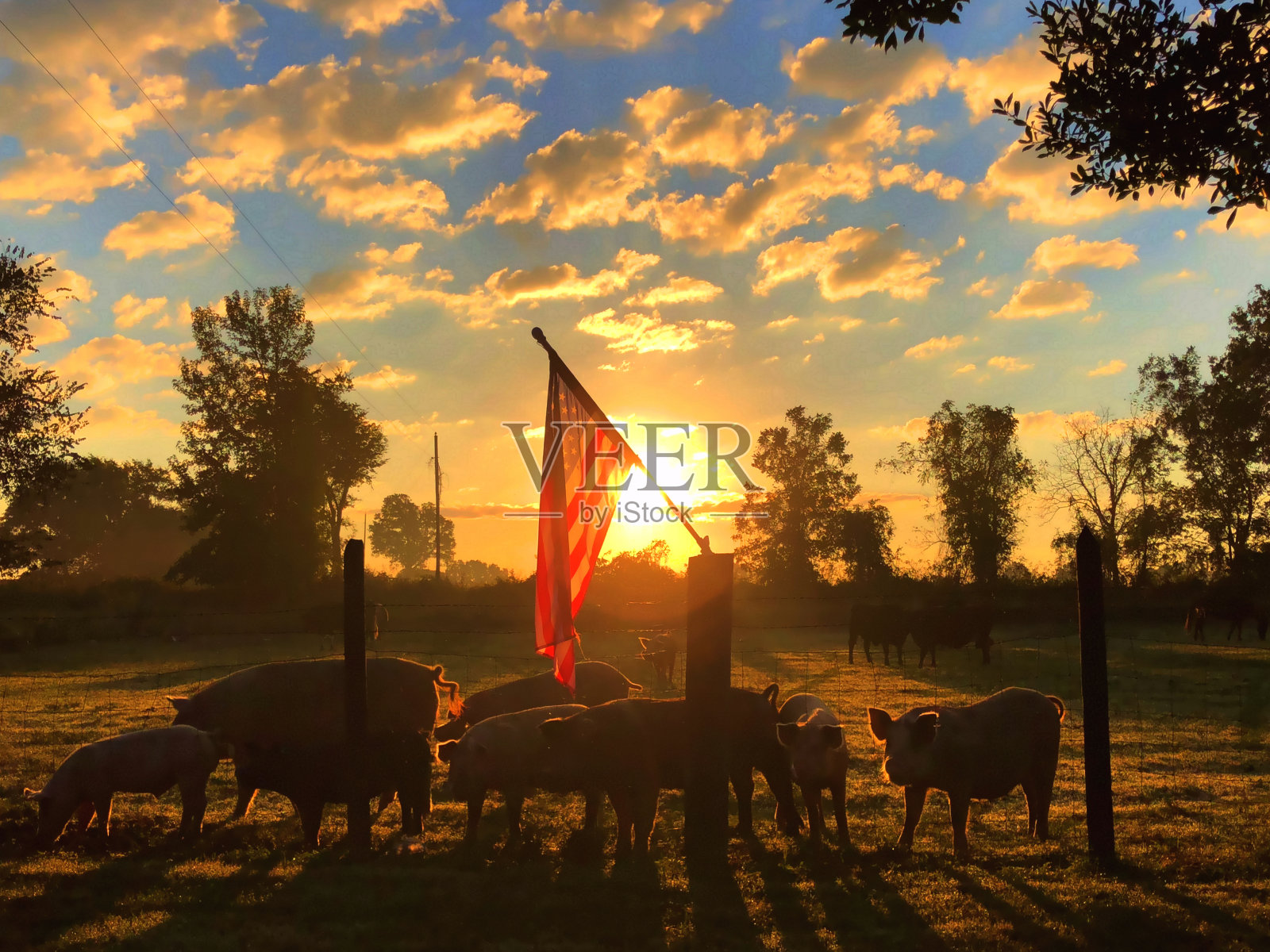 美国落日出照片摄影图片