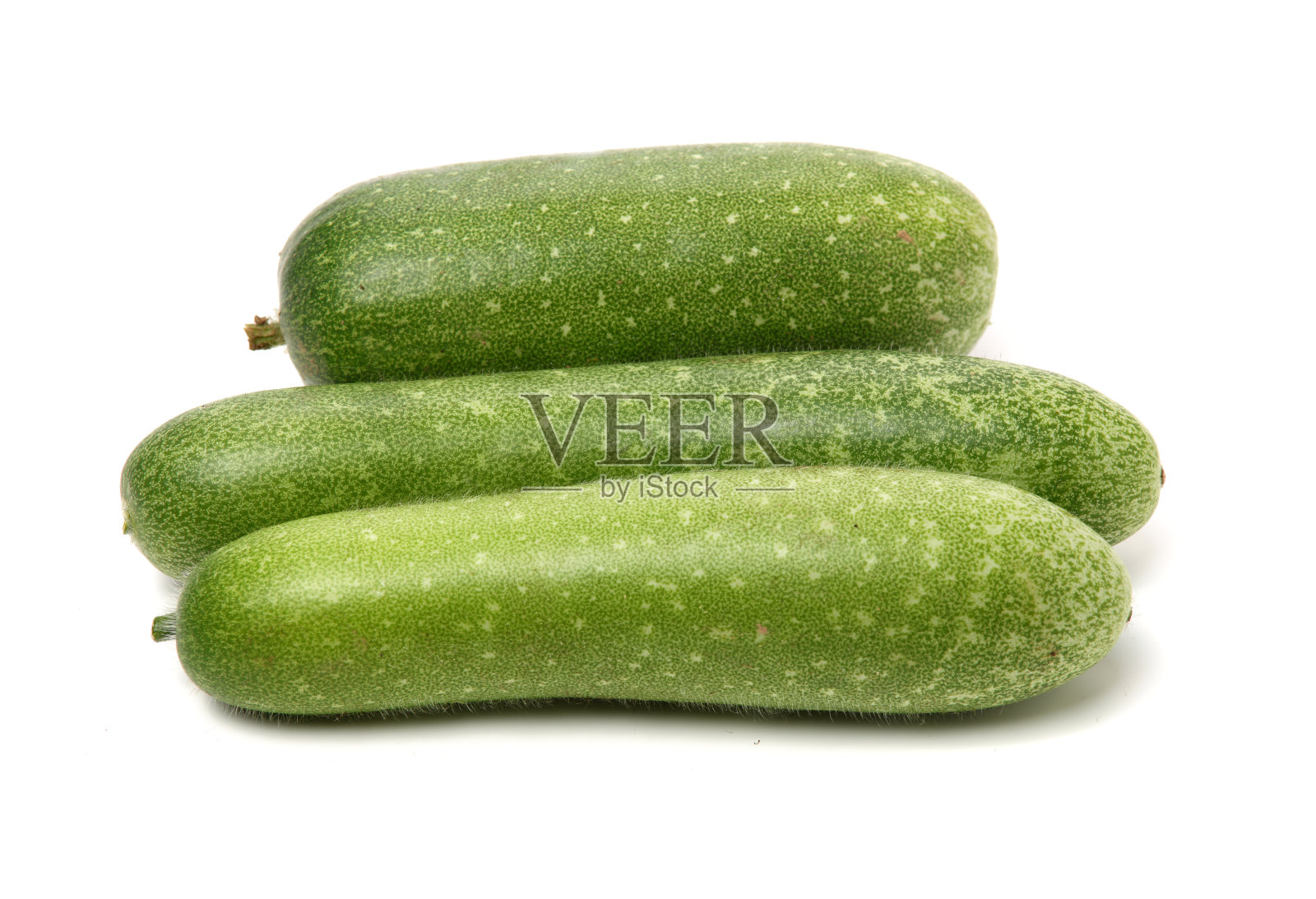 冬瓜照片摄影图片