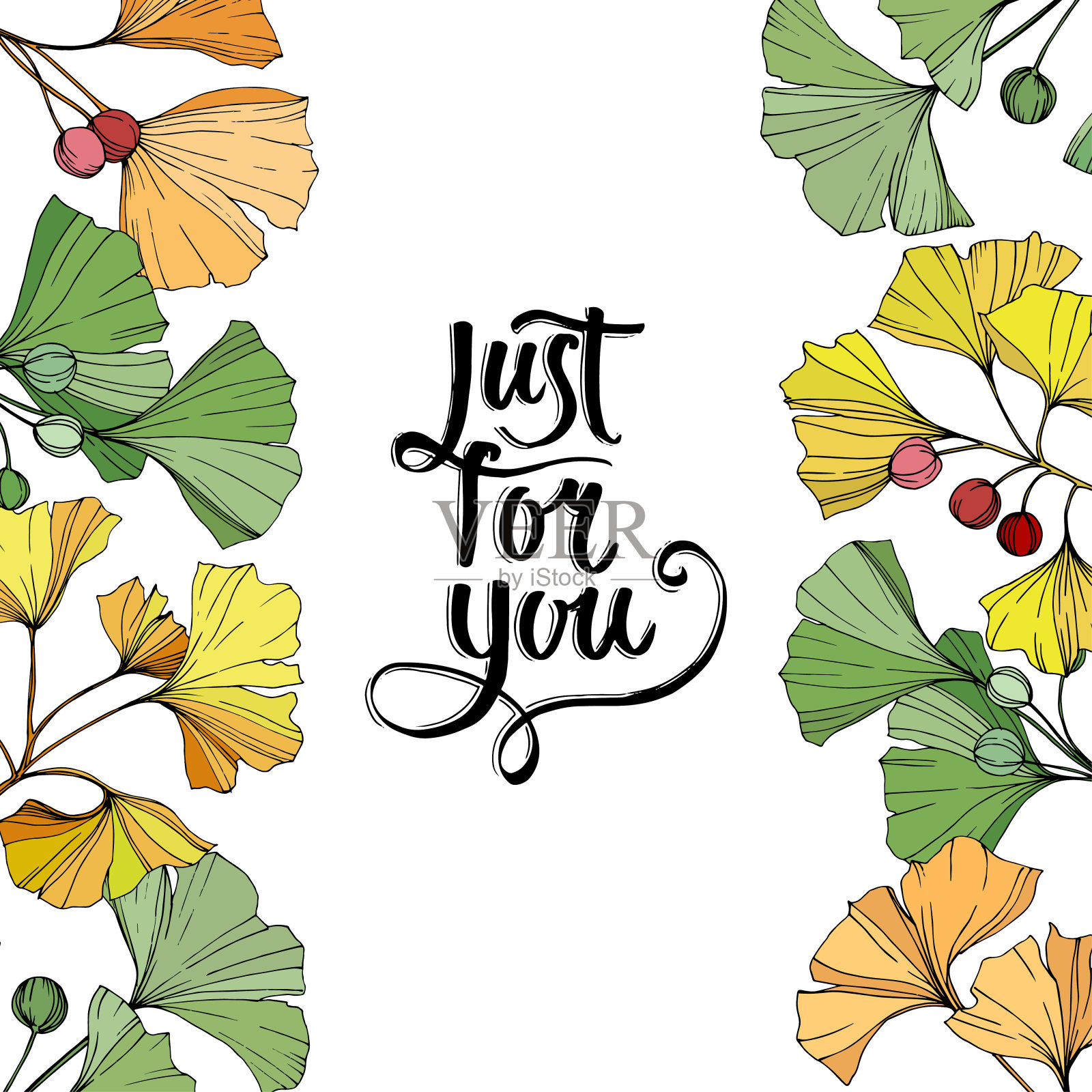 向量。绿色，黄色和橙色的银杏叶。边境装饰广场。只是为了你的手写字母书法。插画图片素材