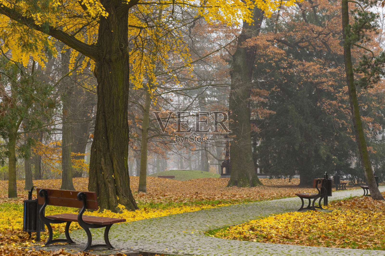 公园里的秋天照片摄影图片