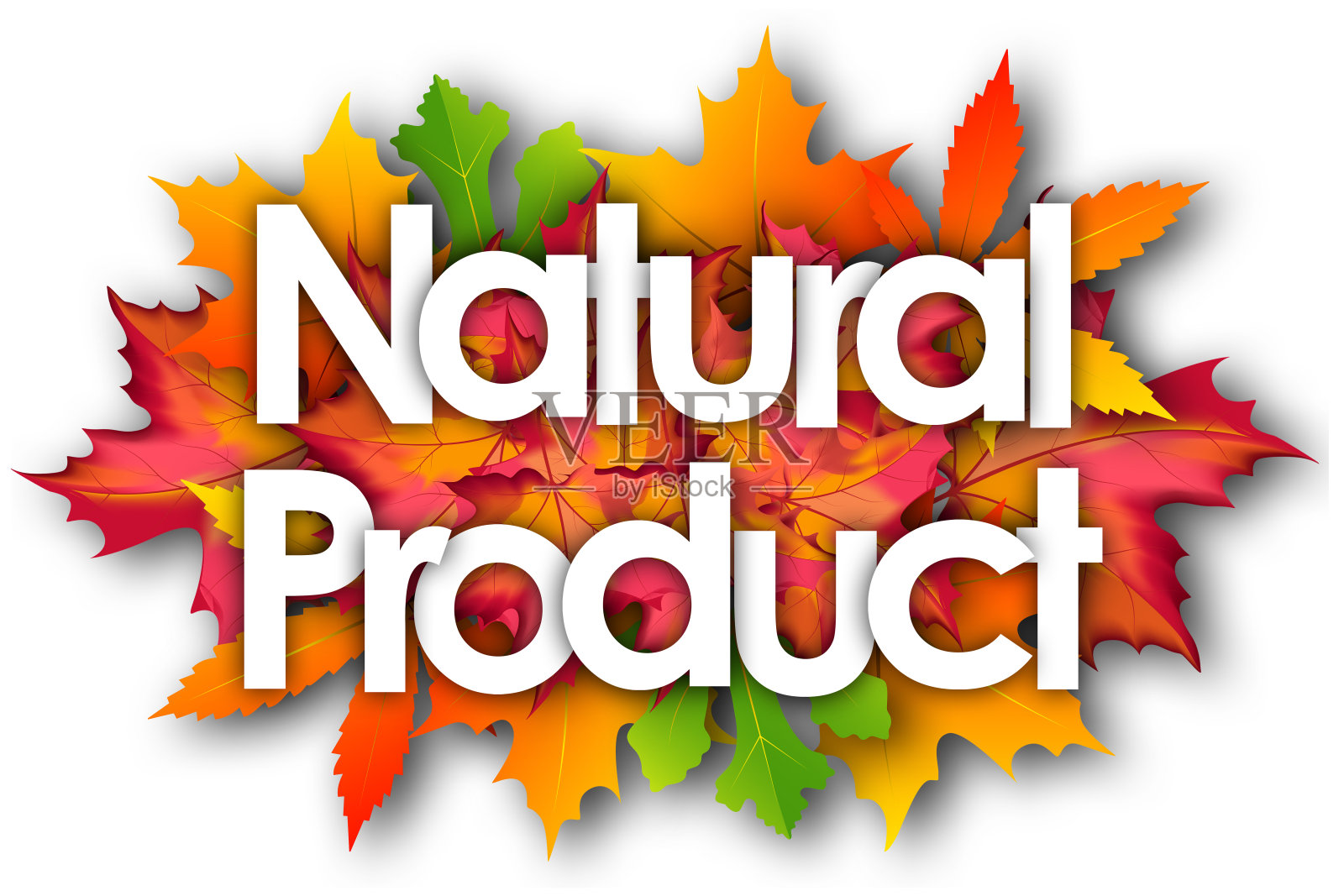 天然产品插画图片素材