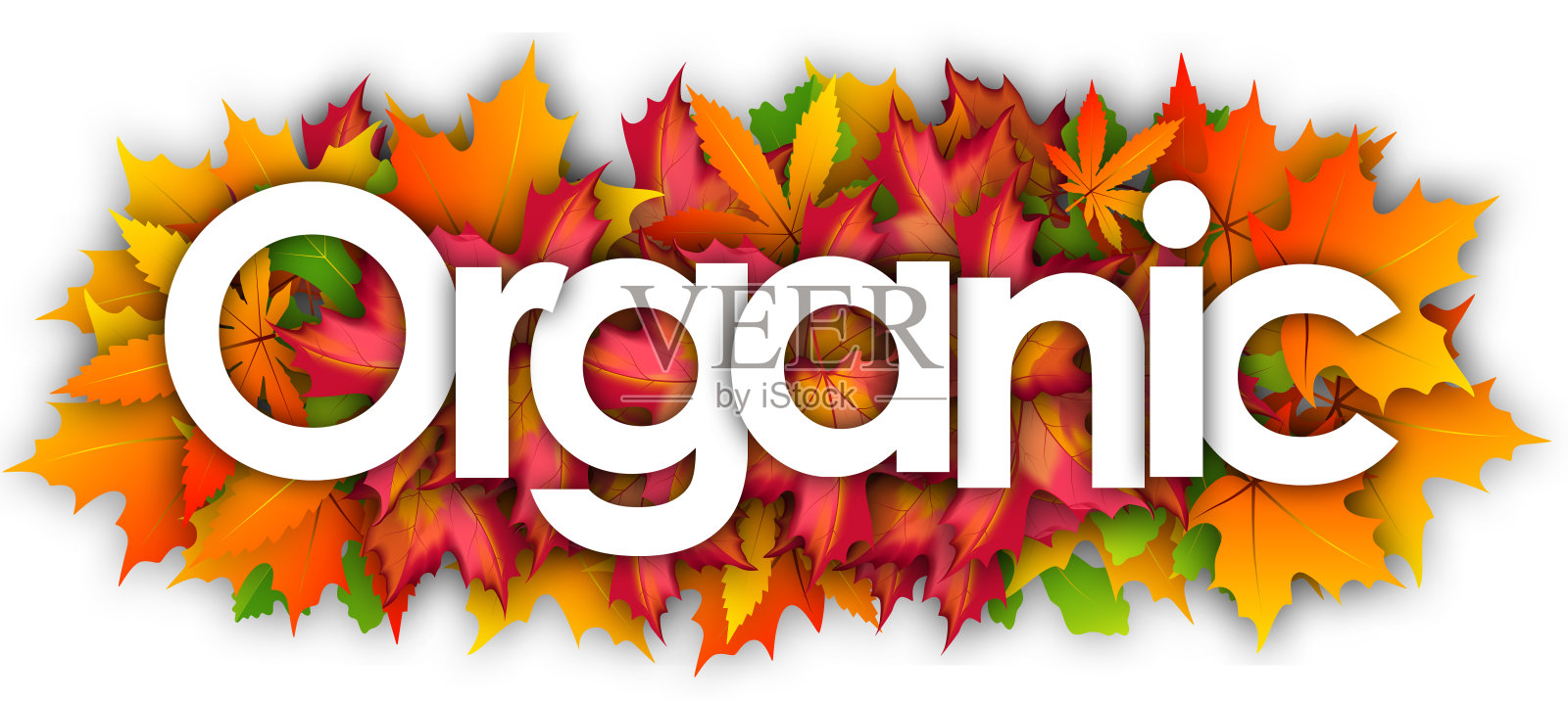 有机插画图片素材