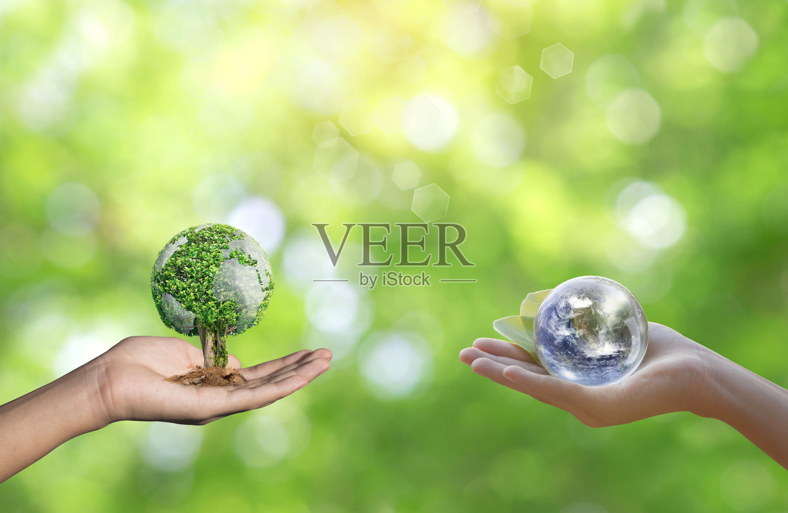 世界环境日的理念以植树绿化地球为己任。照片摄影图片