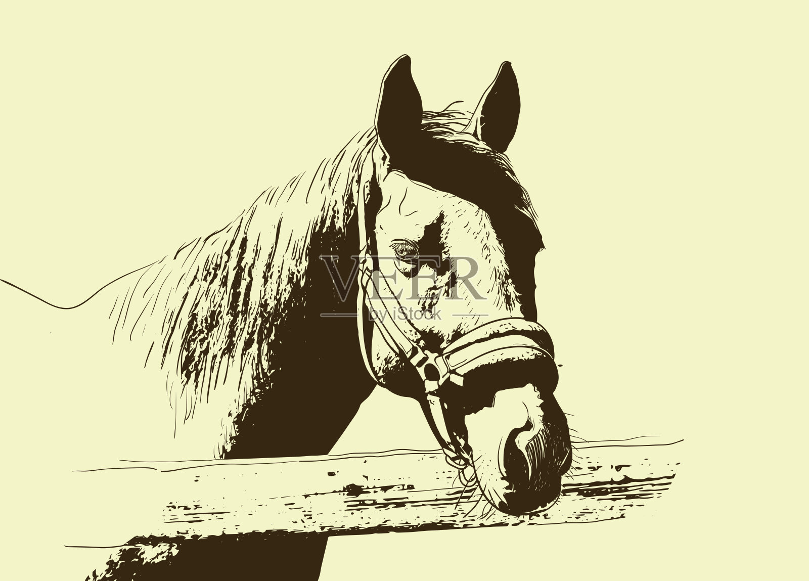 马肖像，缰绳在头上，snaffle头带孤立的棕色颜色在米色的背景。素描，轮廓，草图，设计和纹身的形象。向量插画图片素材