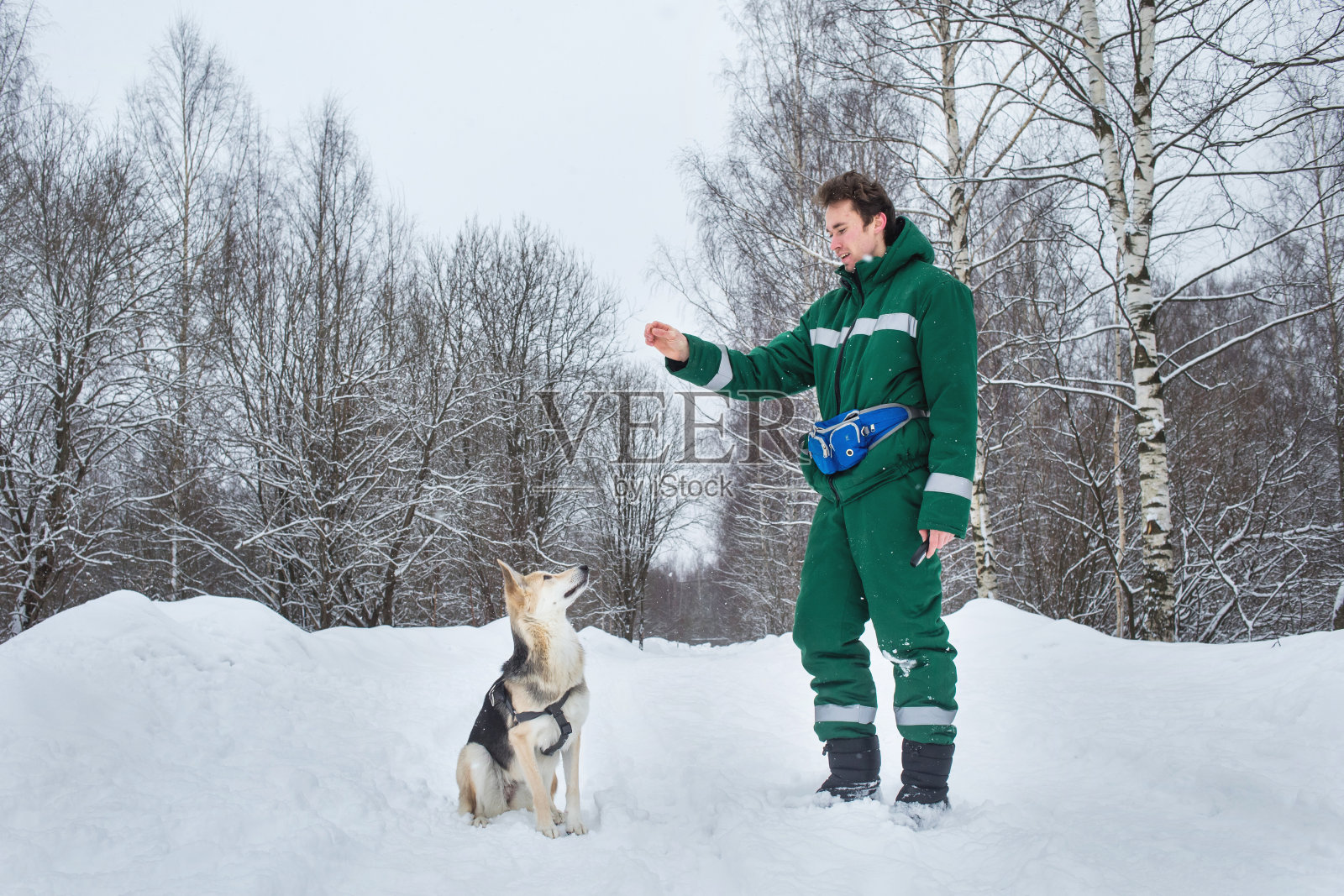 两只狗在冬天和主人一起在户外散步照片摄影图片