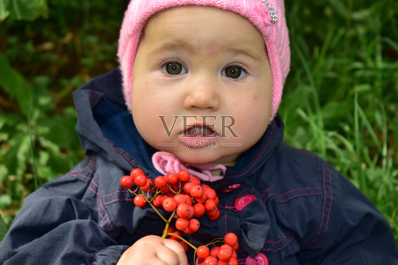 可爱的宝宝，手里拿着红色的花楸浆果照片摄影图片