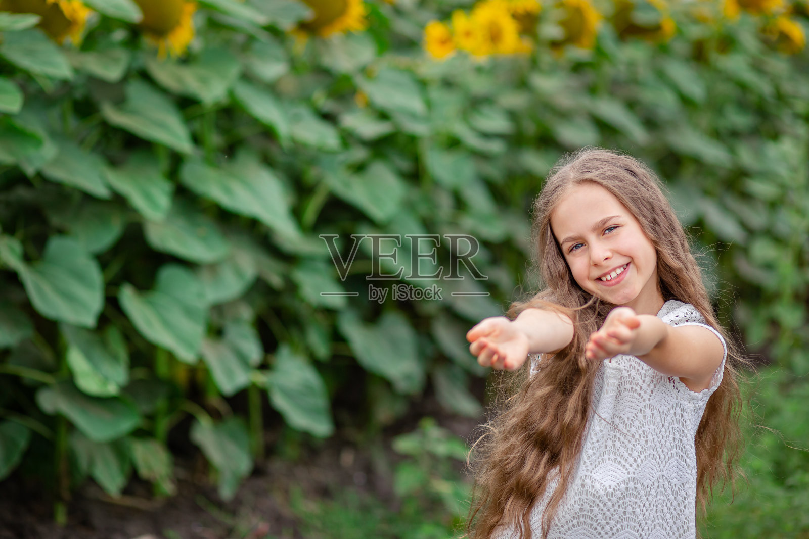 美丽的肖像，一个女孩与长头发的背景与向日葵的田野。照片摄影图片