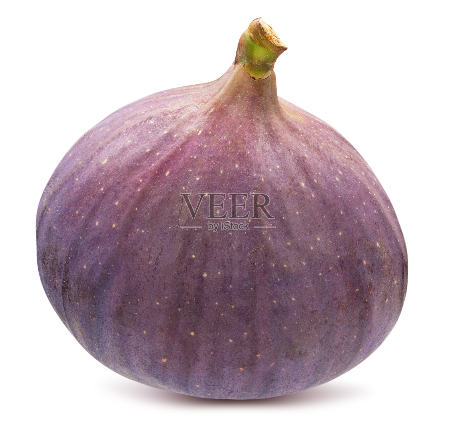 FIG孤立的白色背景照片摄影图片