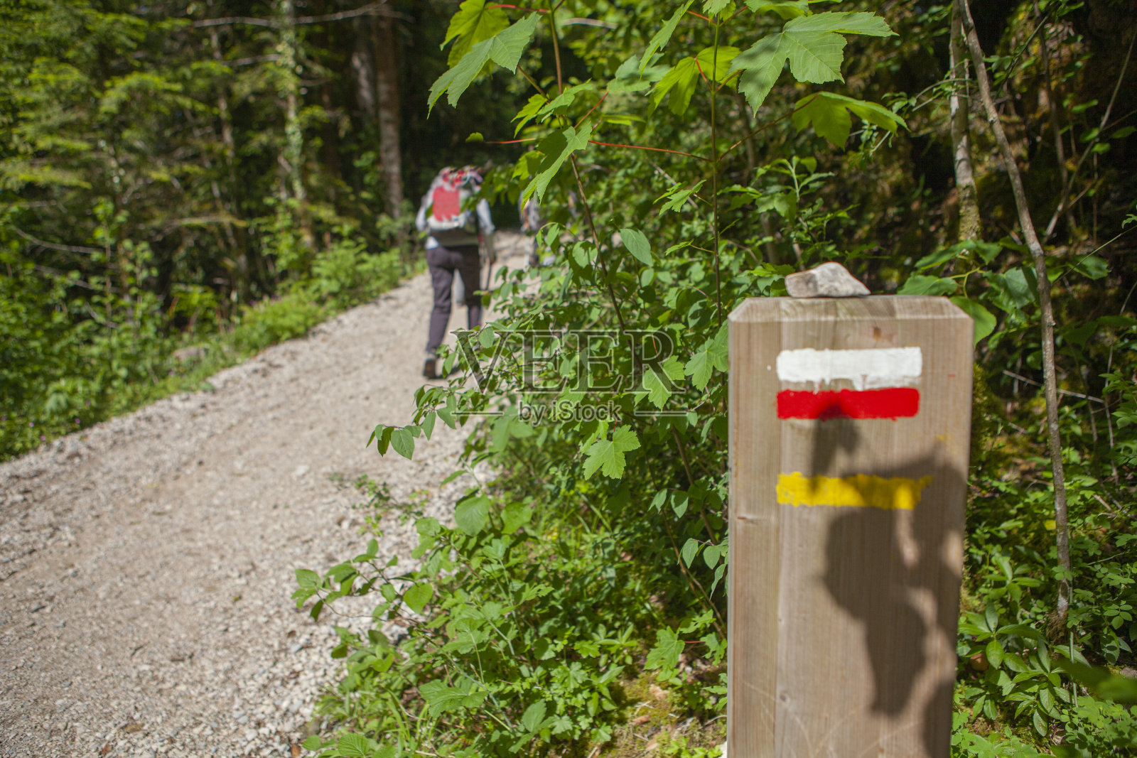 指示方向的指示牌照片摄影图片