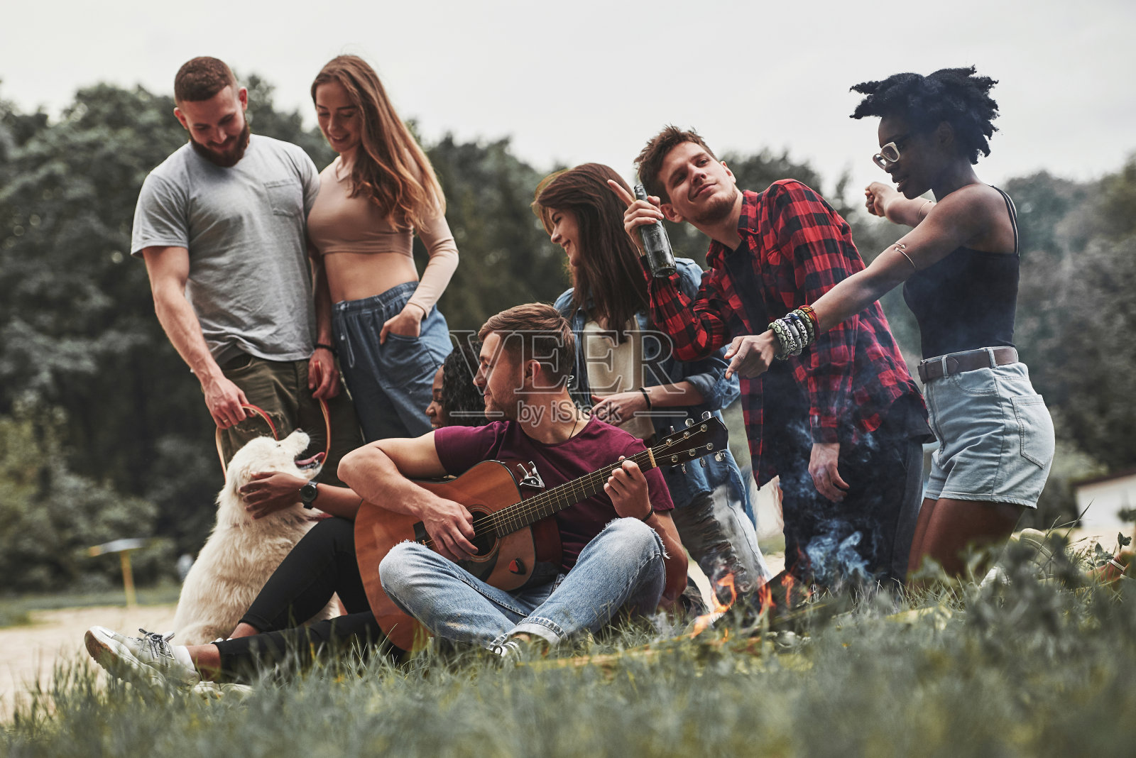大家都玩得很开心。一群人在海滩上野餐。朋友们周末玩得很开心照片摄影图片