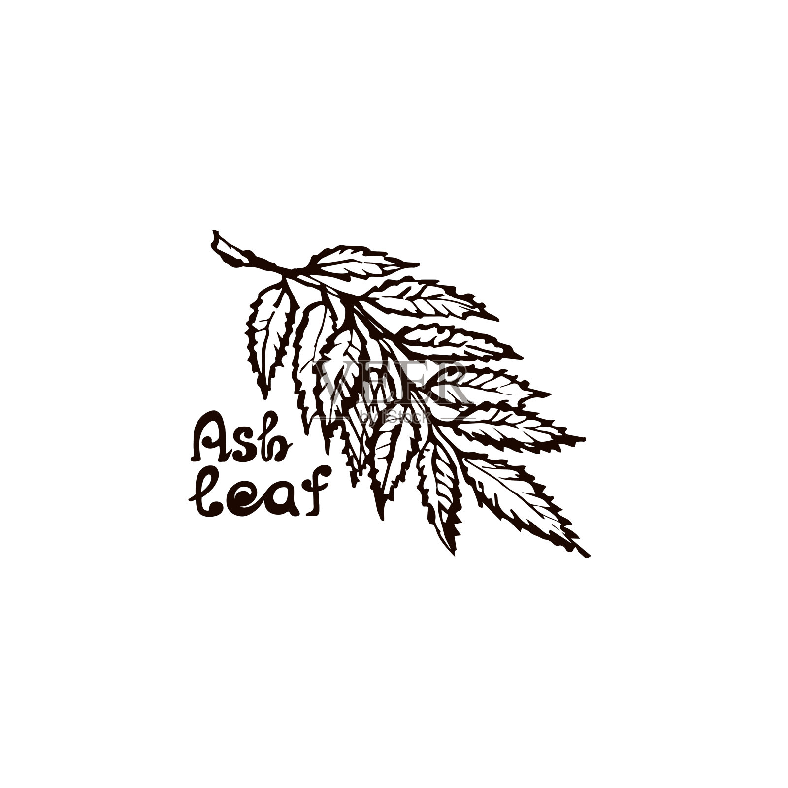 手绘灰叶与手写文本设计元素图片