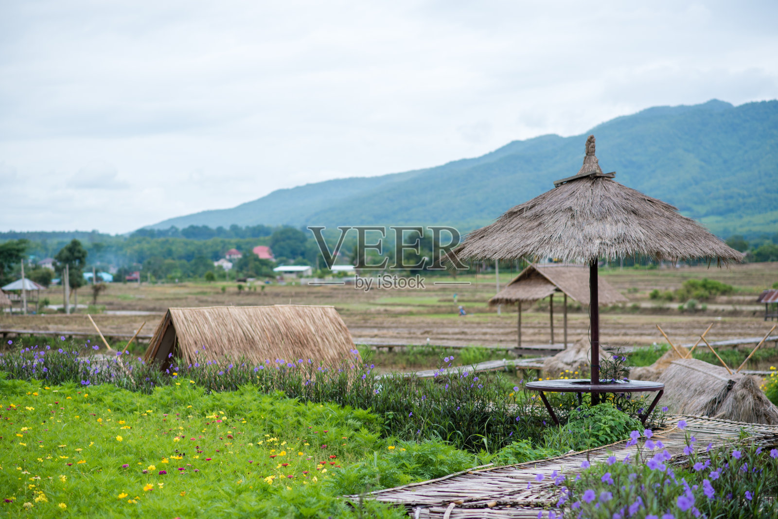 自然寄宿家庭，泰国最好的有机农场逗留。照片摄影图片