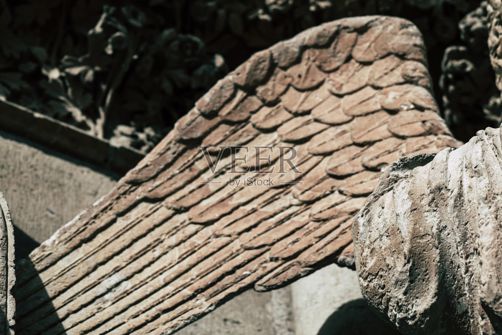 法国的颜色照片摄影图片