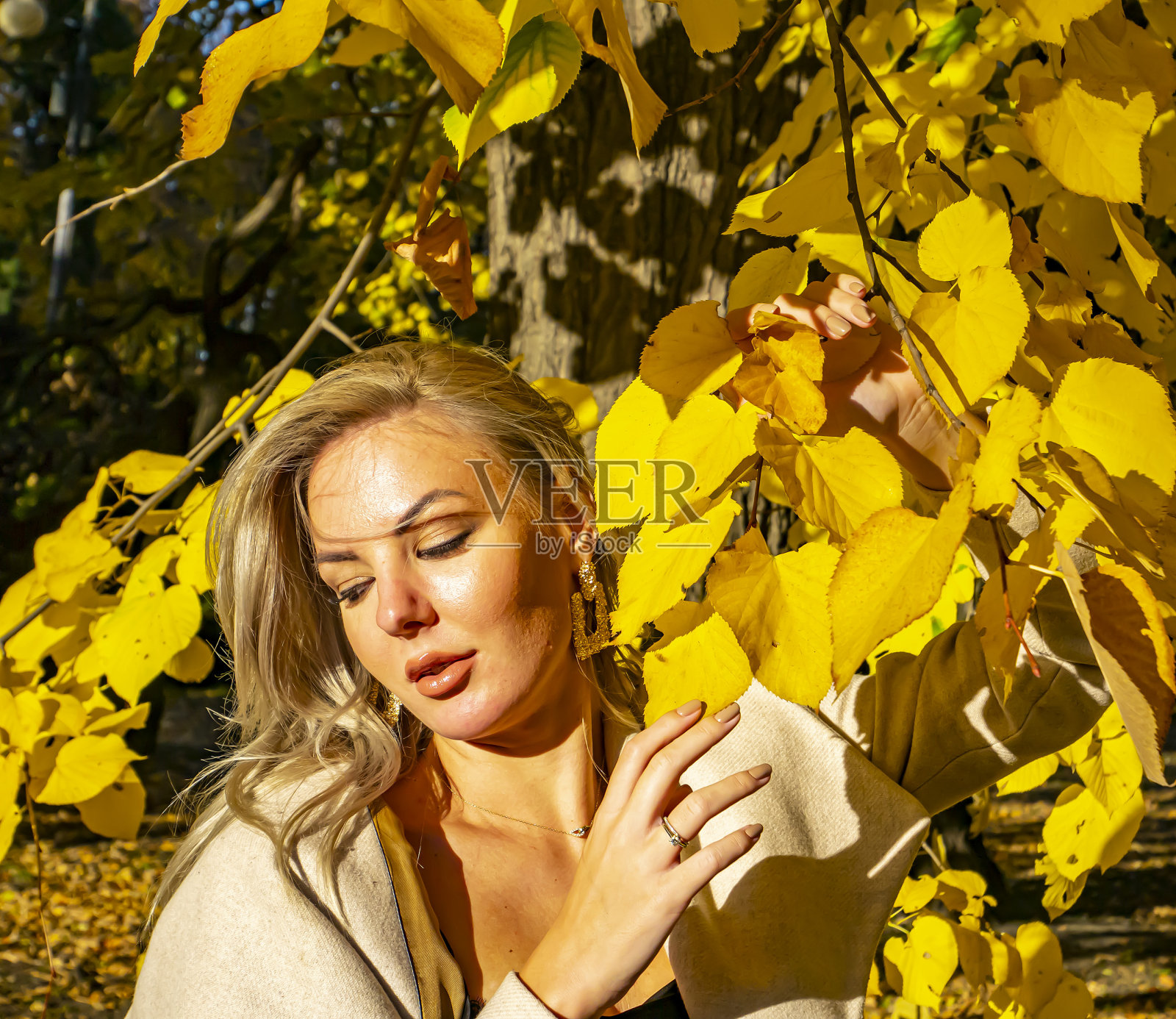金发女孩站在秋天黄色的树叶背景上。照片摄影图片