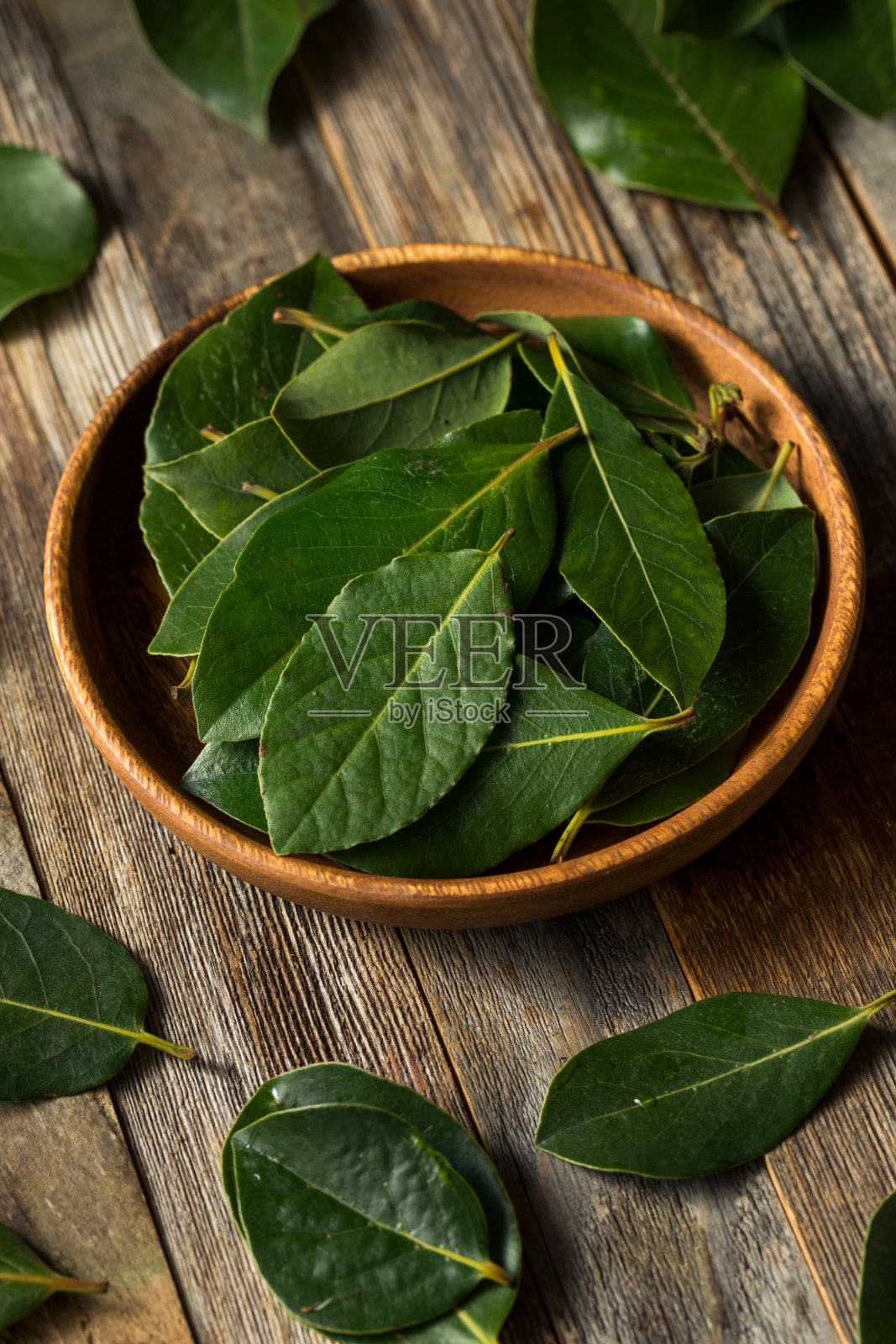 生绿色有机月桂叶照片摄影图片