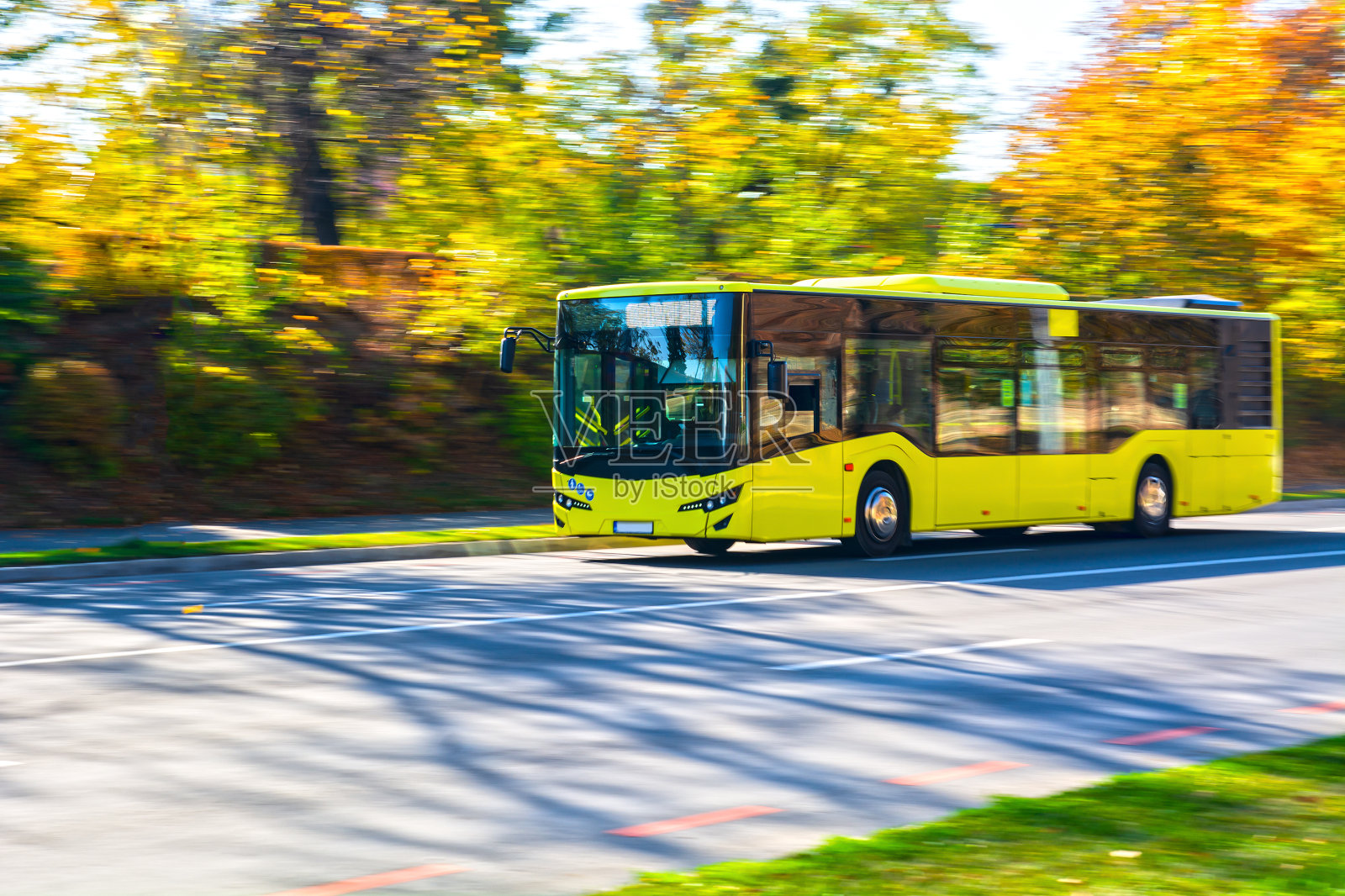 黄色的公共汽车照片摄影图片