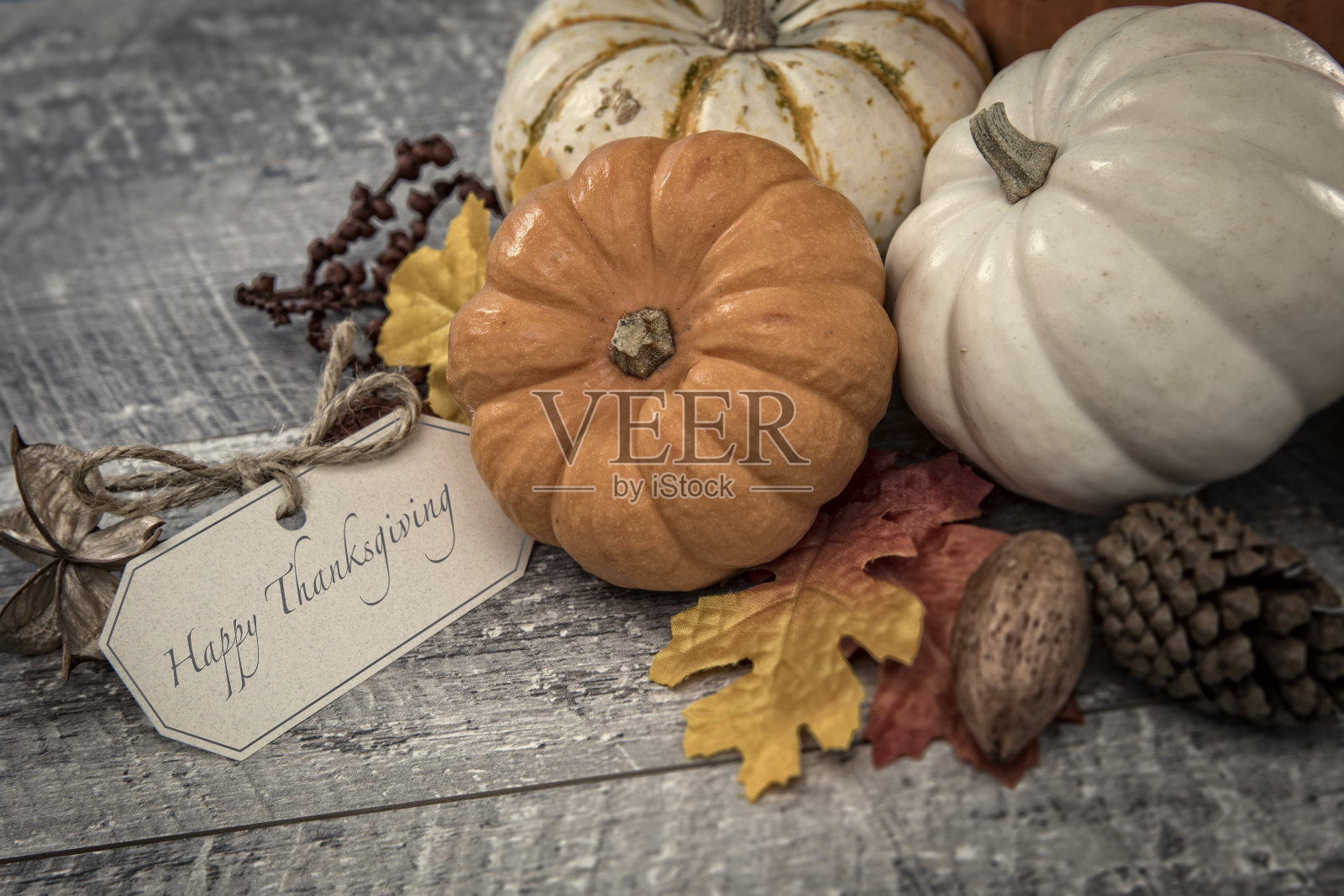 秋天的白色橙色小南瓜和高德木背景照片摄影图片