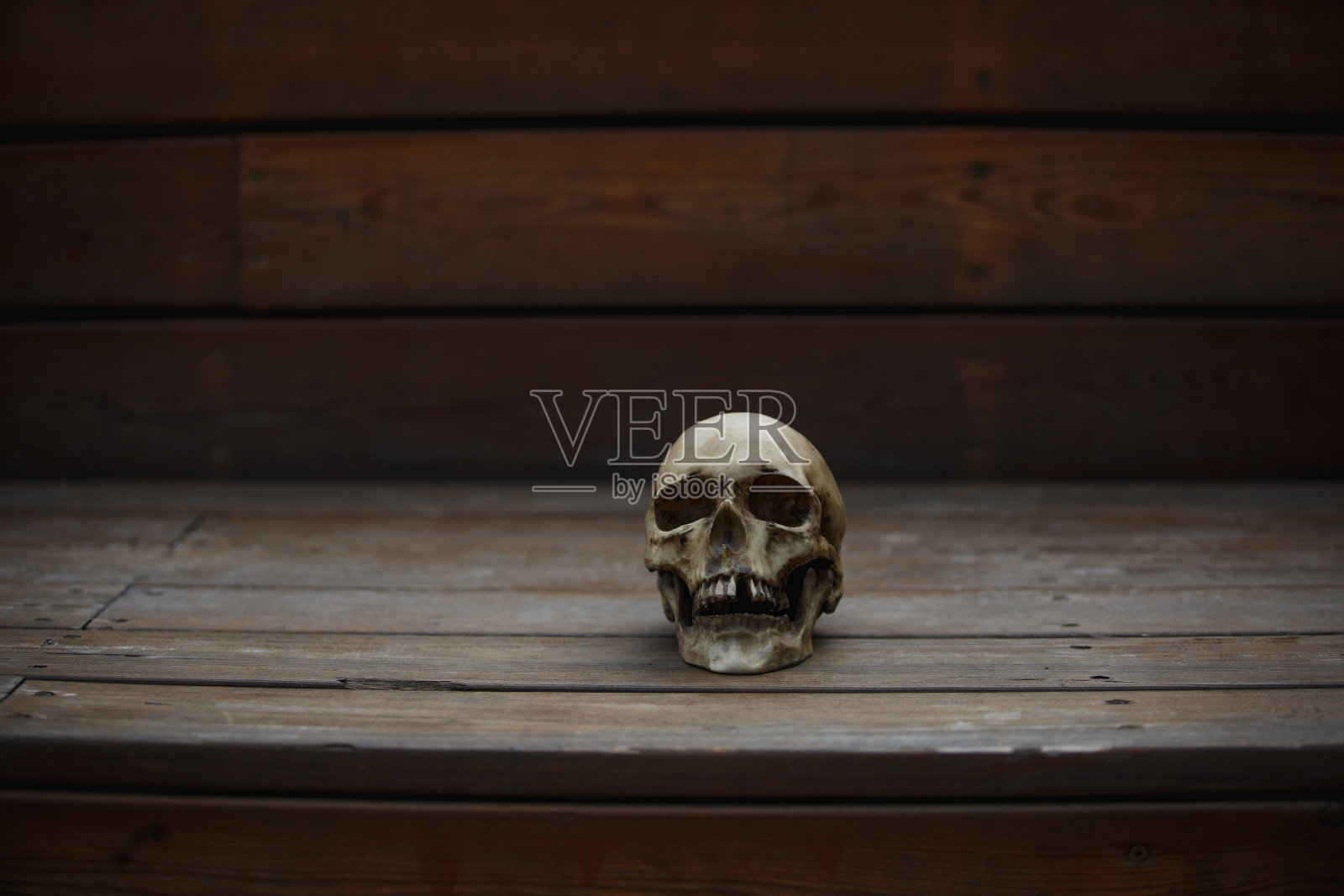 一个木制背景上的人类头骨被柔和的光线照亮。照片摄影图片