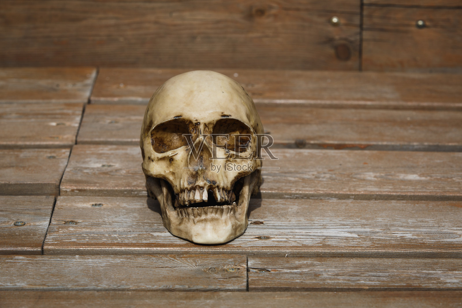 一个木制背景上的人类头骨被柔和的光线照亮。照片摄影图片