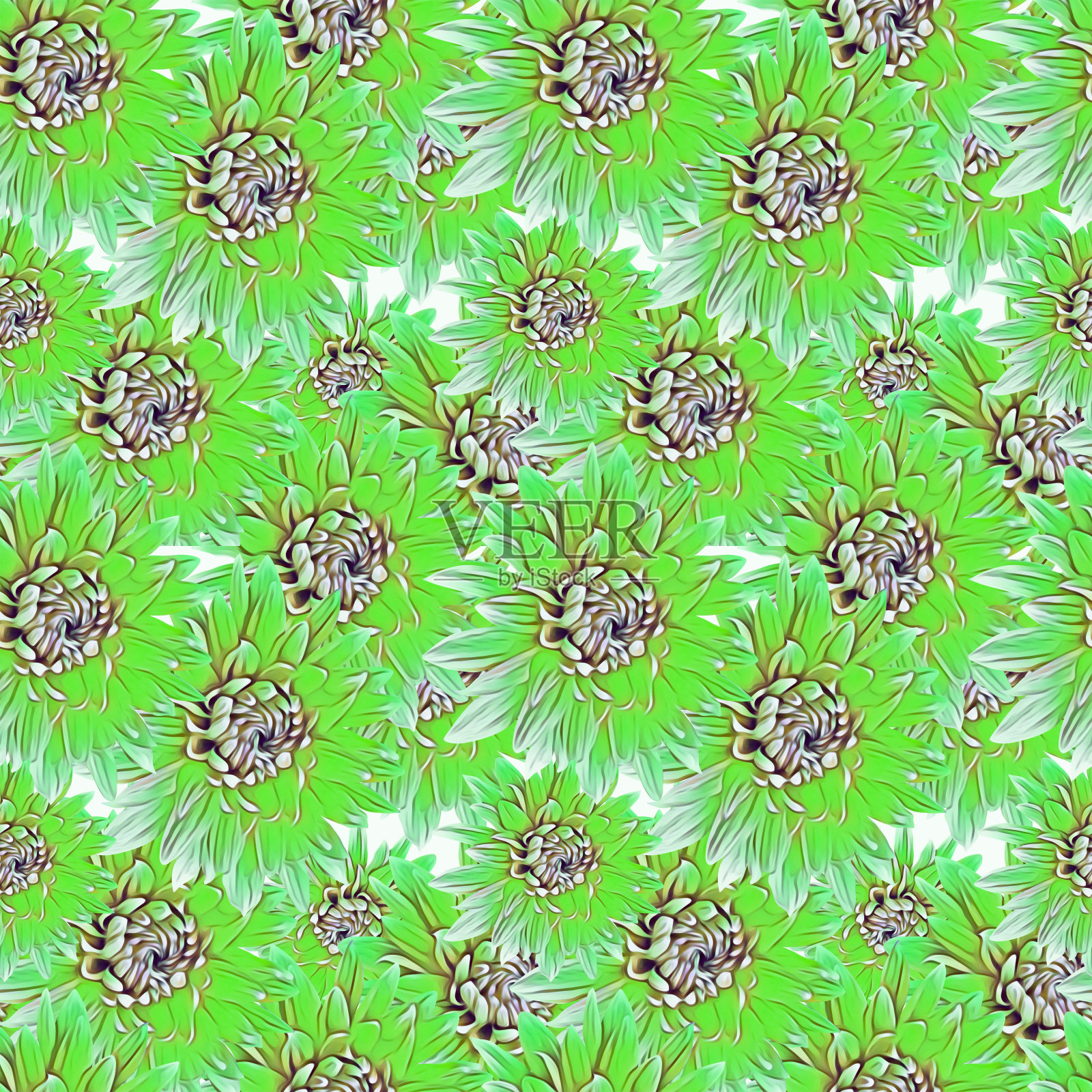 大丽花无缝花纹。插画图片素材