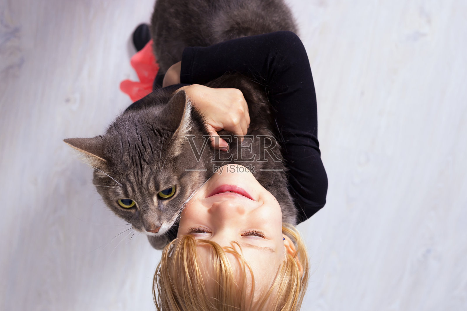 可爱的小金发女孩拥抱可爱的宠物灰色虎斑猫照片摄影图片