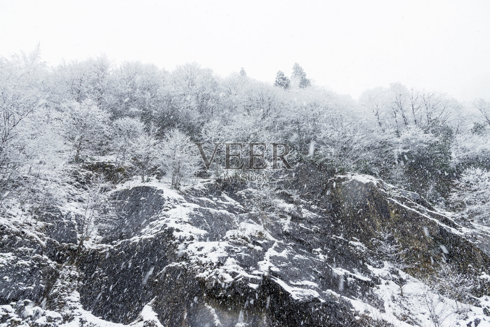 冰雪皑皑的冬天，树木和岩石都被白雪覆盖。照片摄影图片