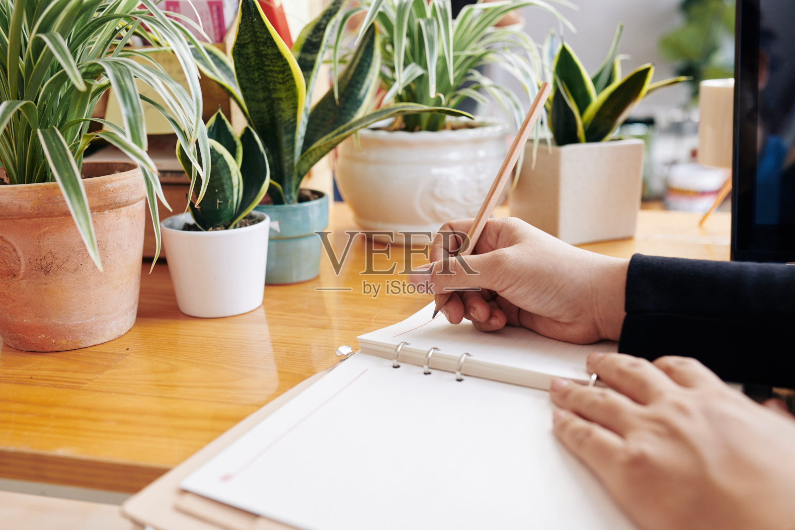 店主写下她的计划和想法照片摄影图片