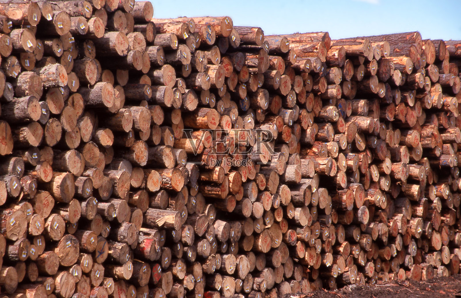 查看堆叠的树木原木堆叠准备装载船舶照片摄影图片