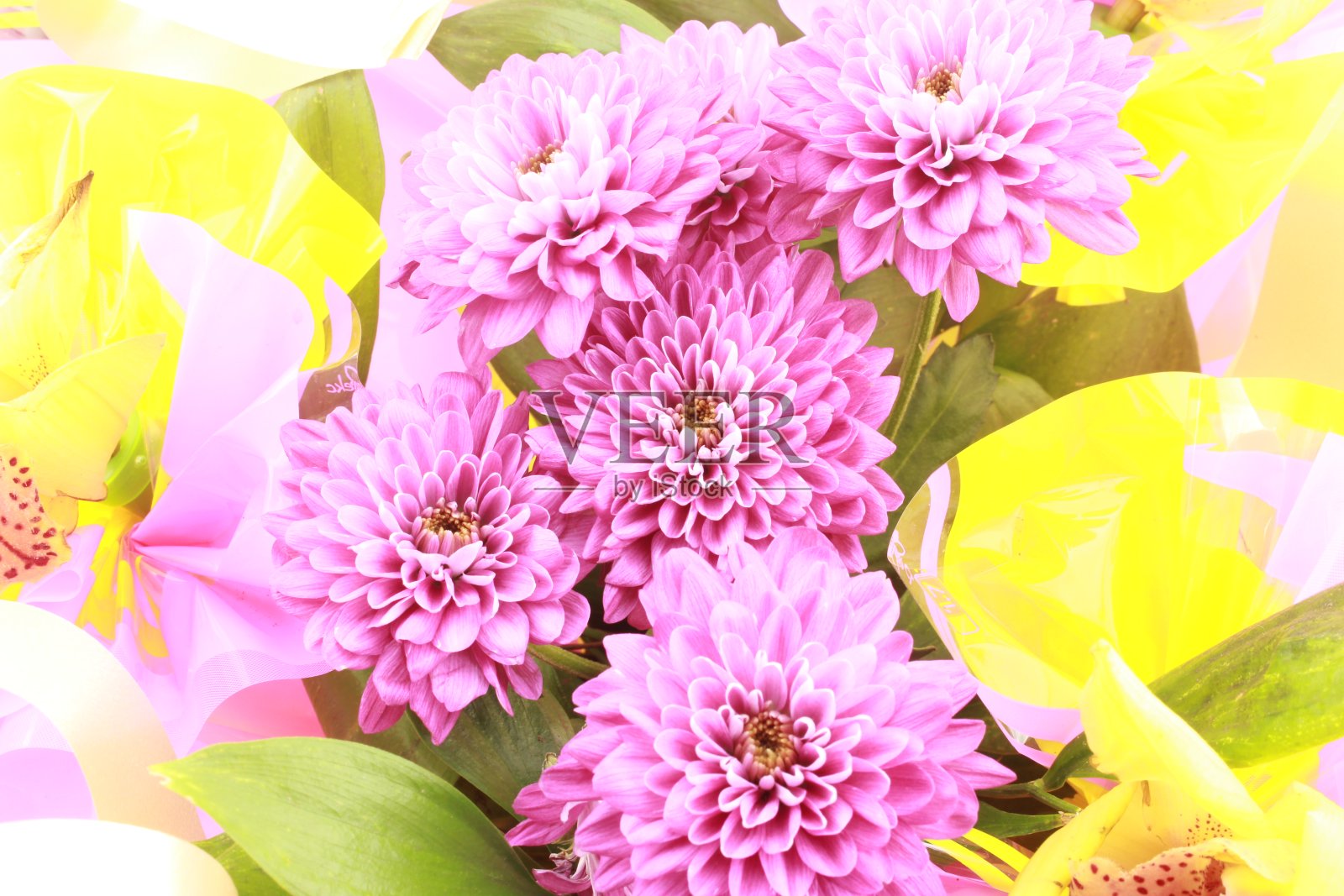 一束粉红色的花。照片摄影图片