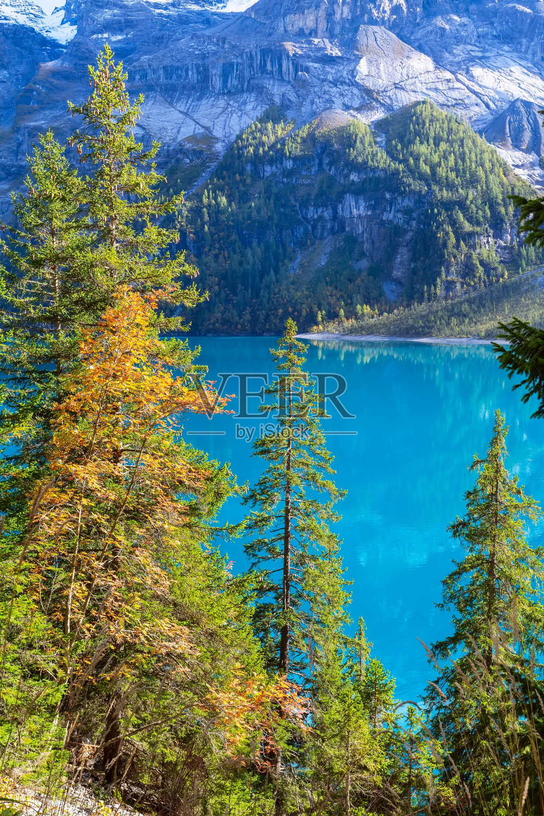 Oeschinensee湖，瑞士阿尔卑斯山，瑞士照片摄影图片