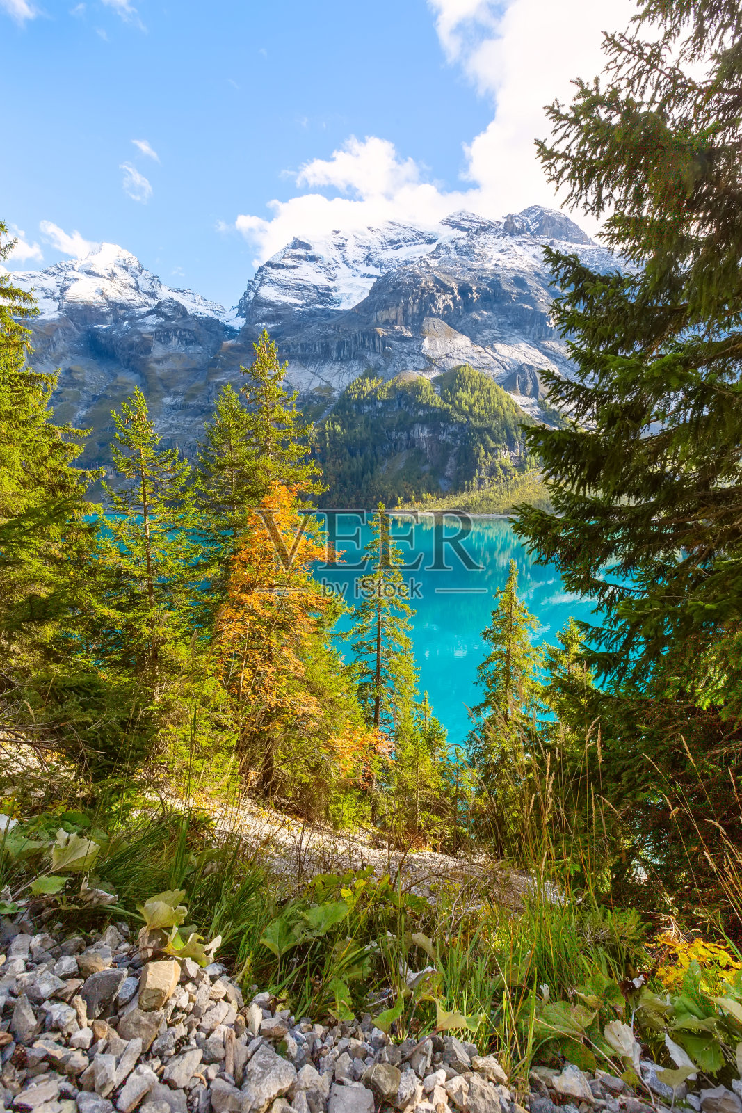 Oeschinensee湖，瑞士阿尔卑斯山，瑞士照片摄影图片