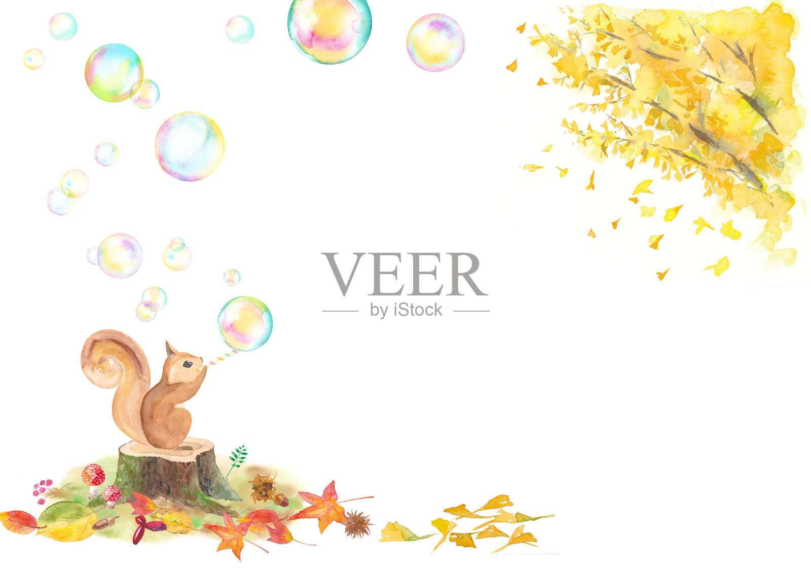 水彩画的松鼠吹肥皂泡下的银杏树插画图片素材
