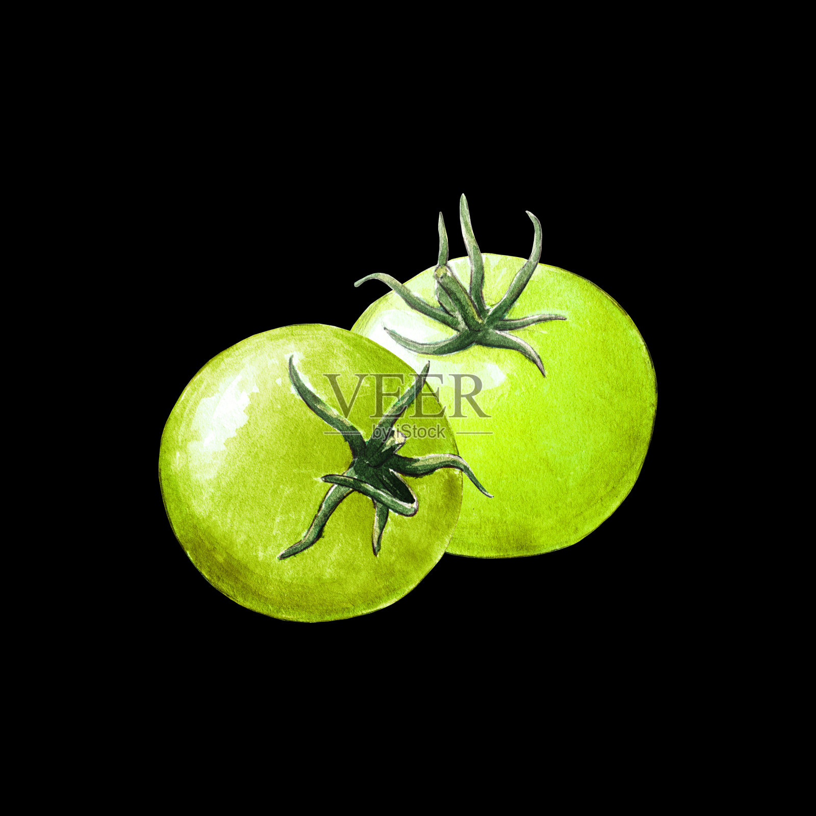 番茄水彩插图在黑色的背景插画图片素材