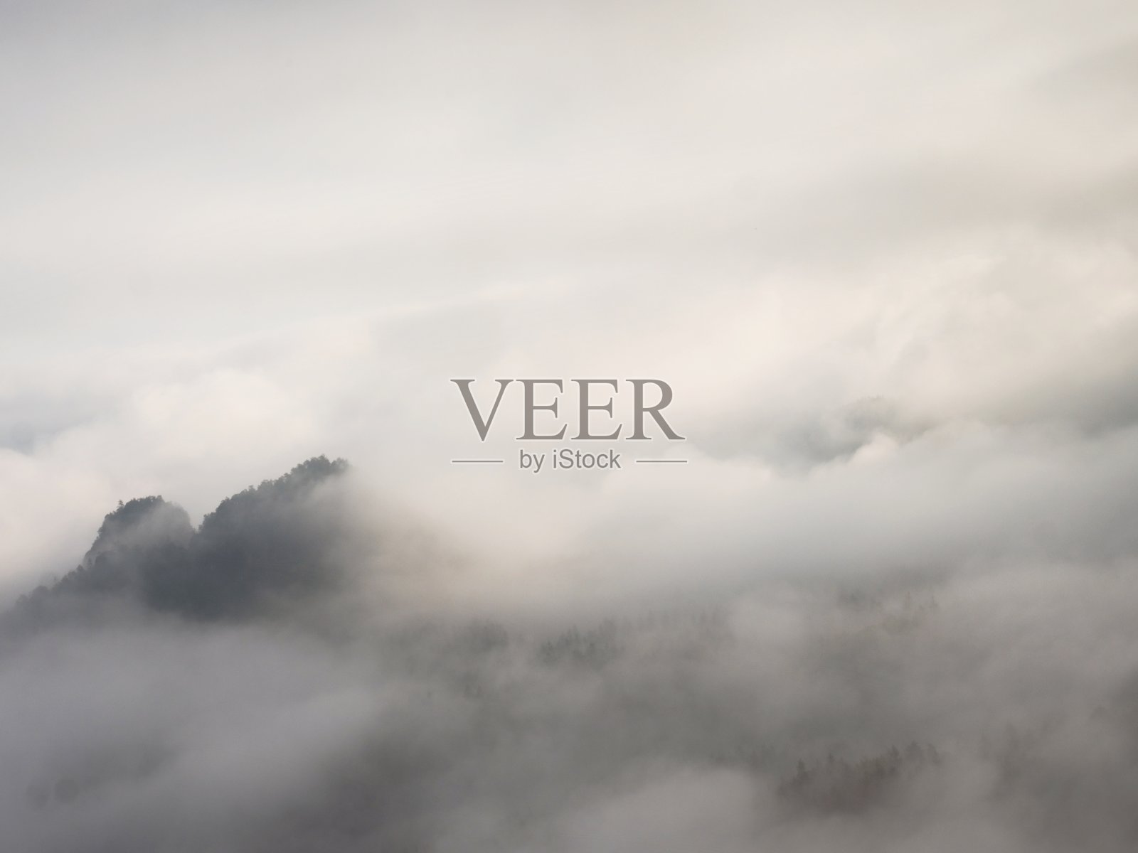 壮丽的浓雾景观。秋天奶油雾照片摄影图片