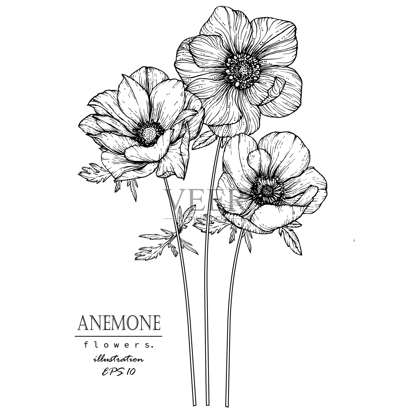 网络插画图片素材