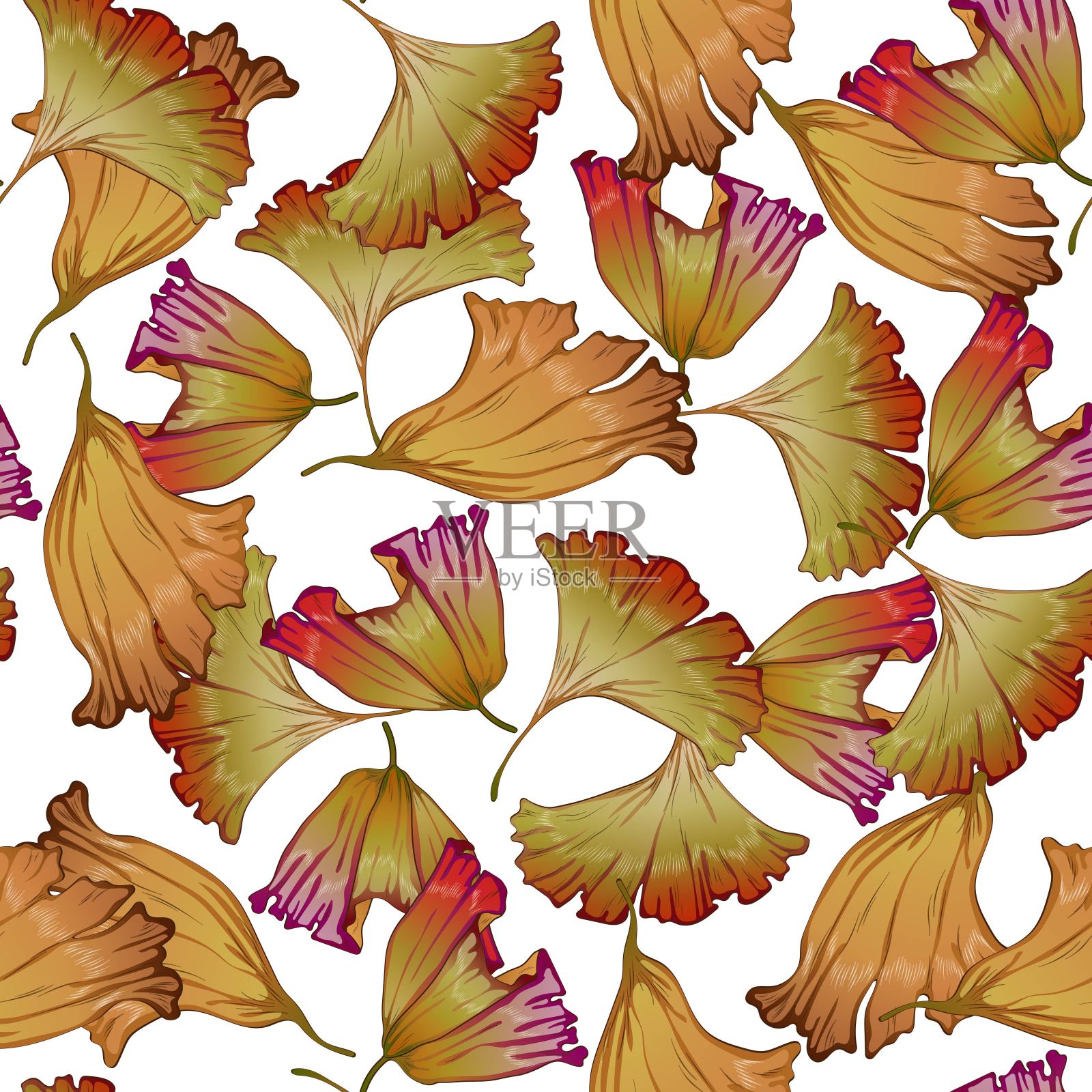 矢秋银杏叶黄红。插画图片素材