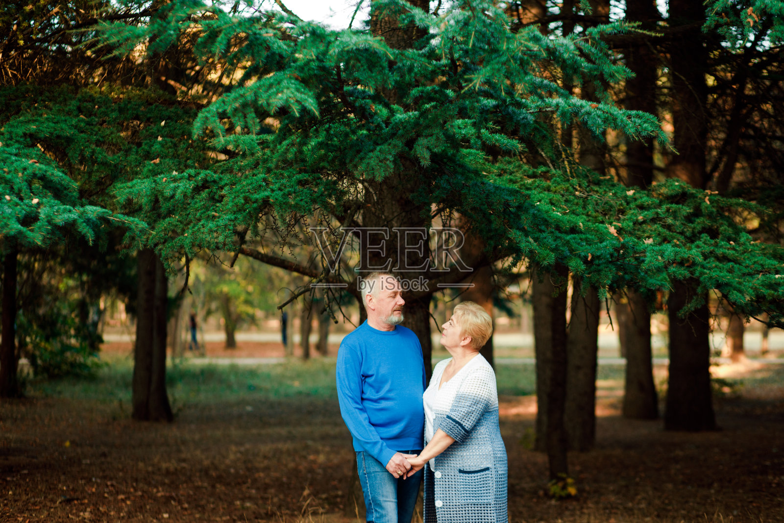 在公园里散步的退休人员，幸福的晚年生活。照片摄影图片