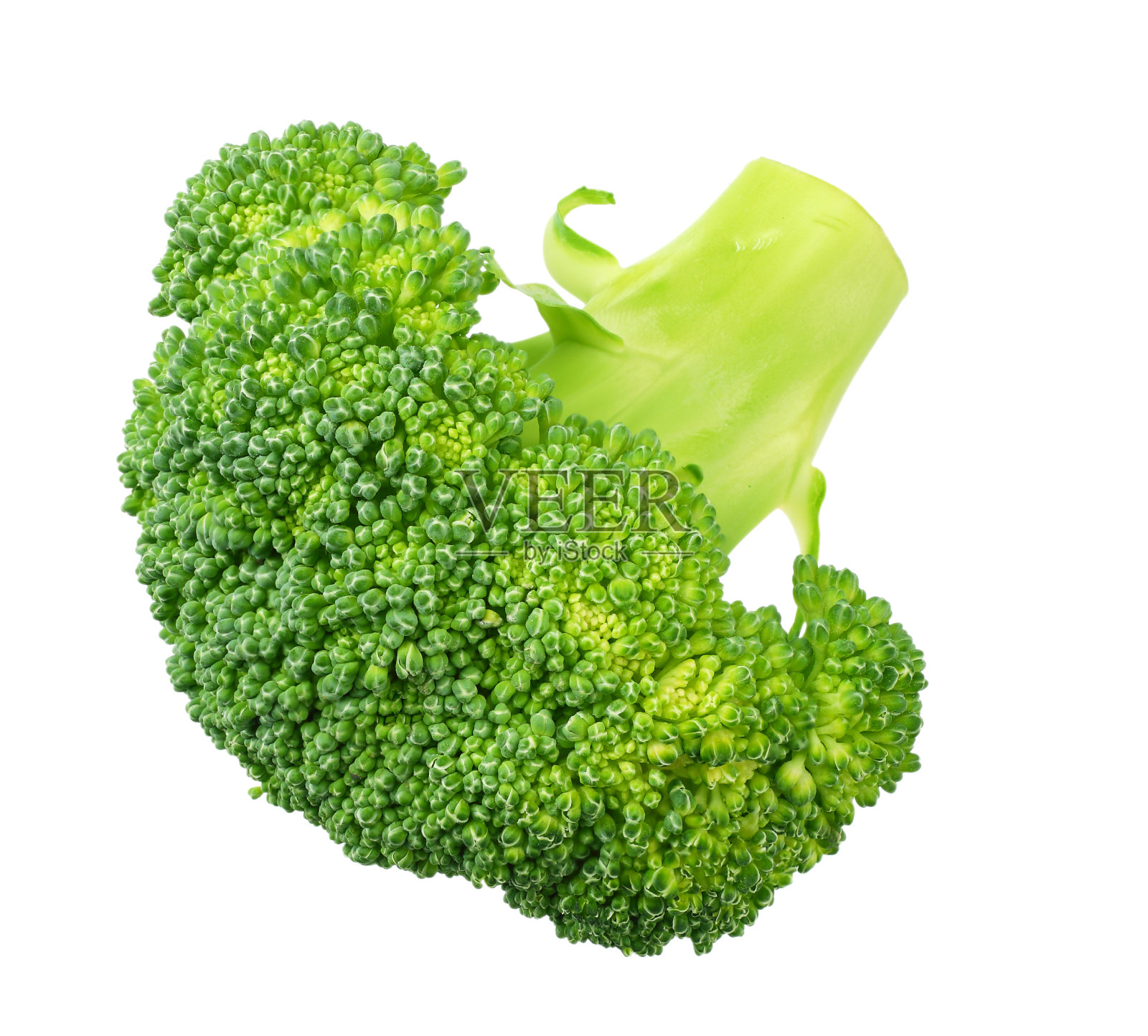 白色背景上孤立的绿色西兰花。照片摄影图片