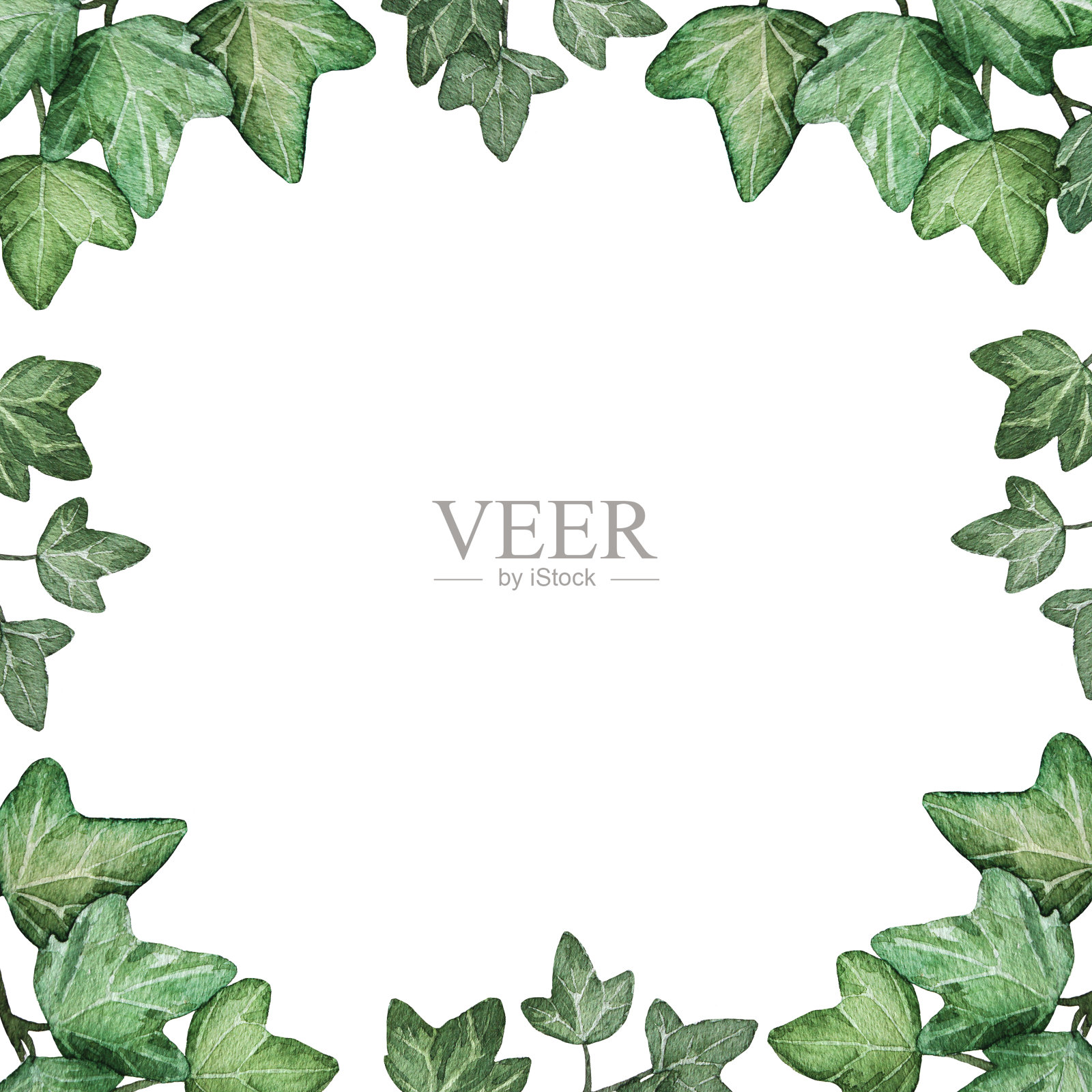 卡片框架与水彩手绘藤蔓插画图片素材