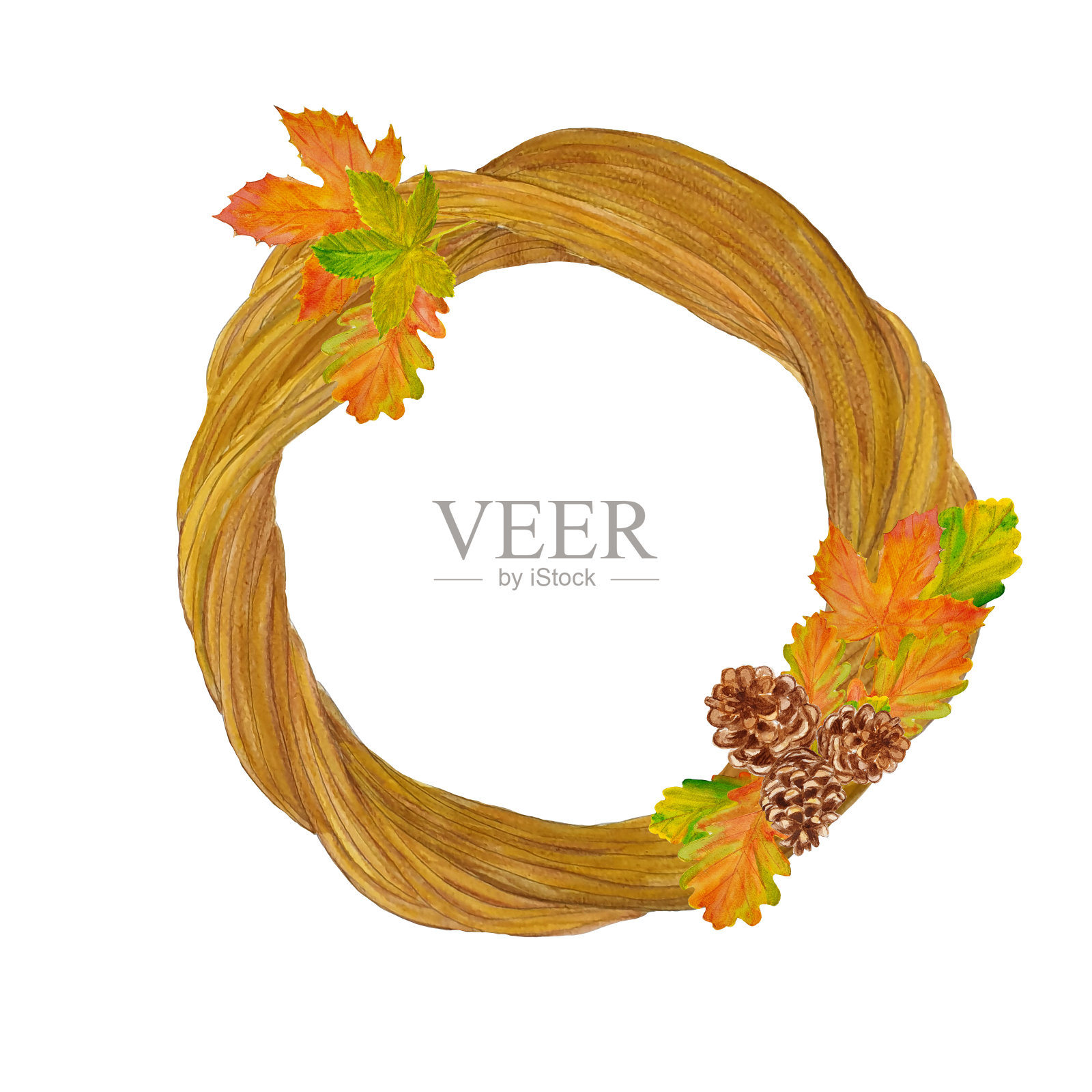 水彩花环在复古风格与冷杉树枝，树叶。秋天的插图。用来装请柬、礼物、礼物、问候的框架插画图片素材