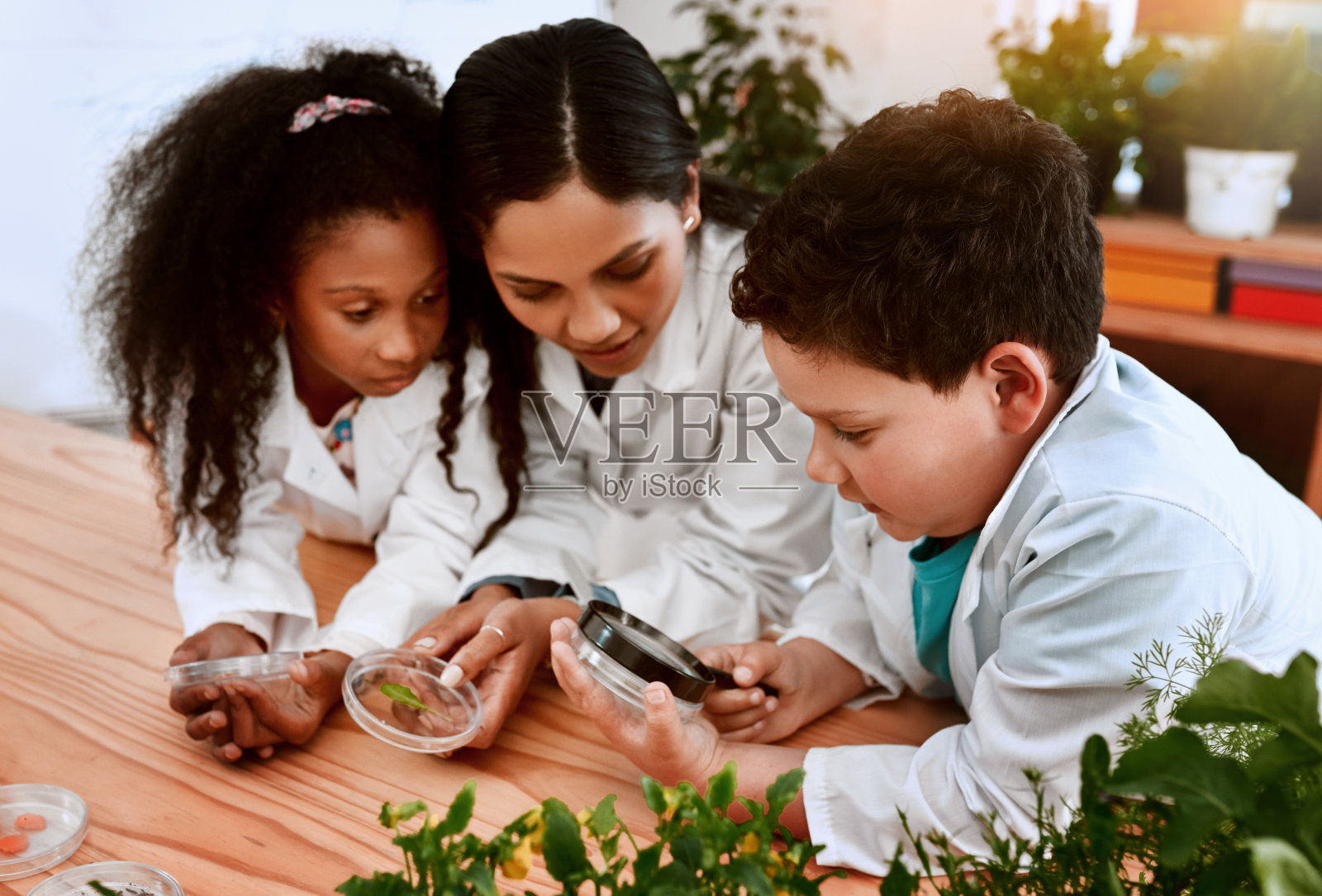 一切都要有耐心照片摄影图片