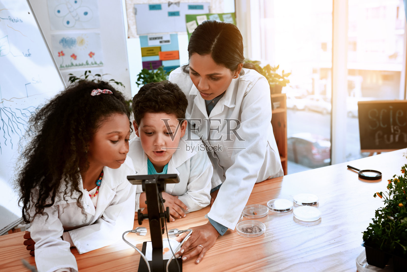 最好的学习方法就是进行实验照片摄影图片