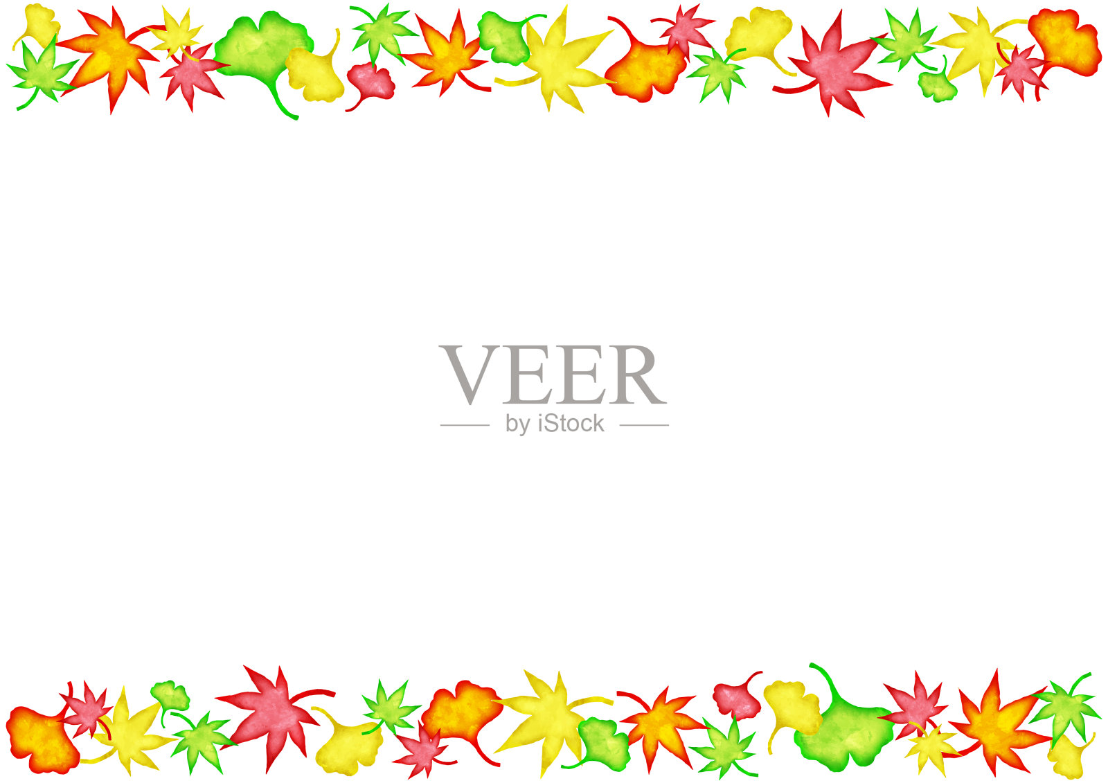 直框的枫树和银杏像一幅水彩画插画图片素材