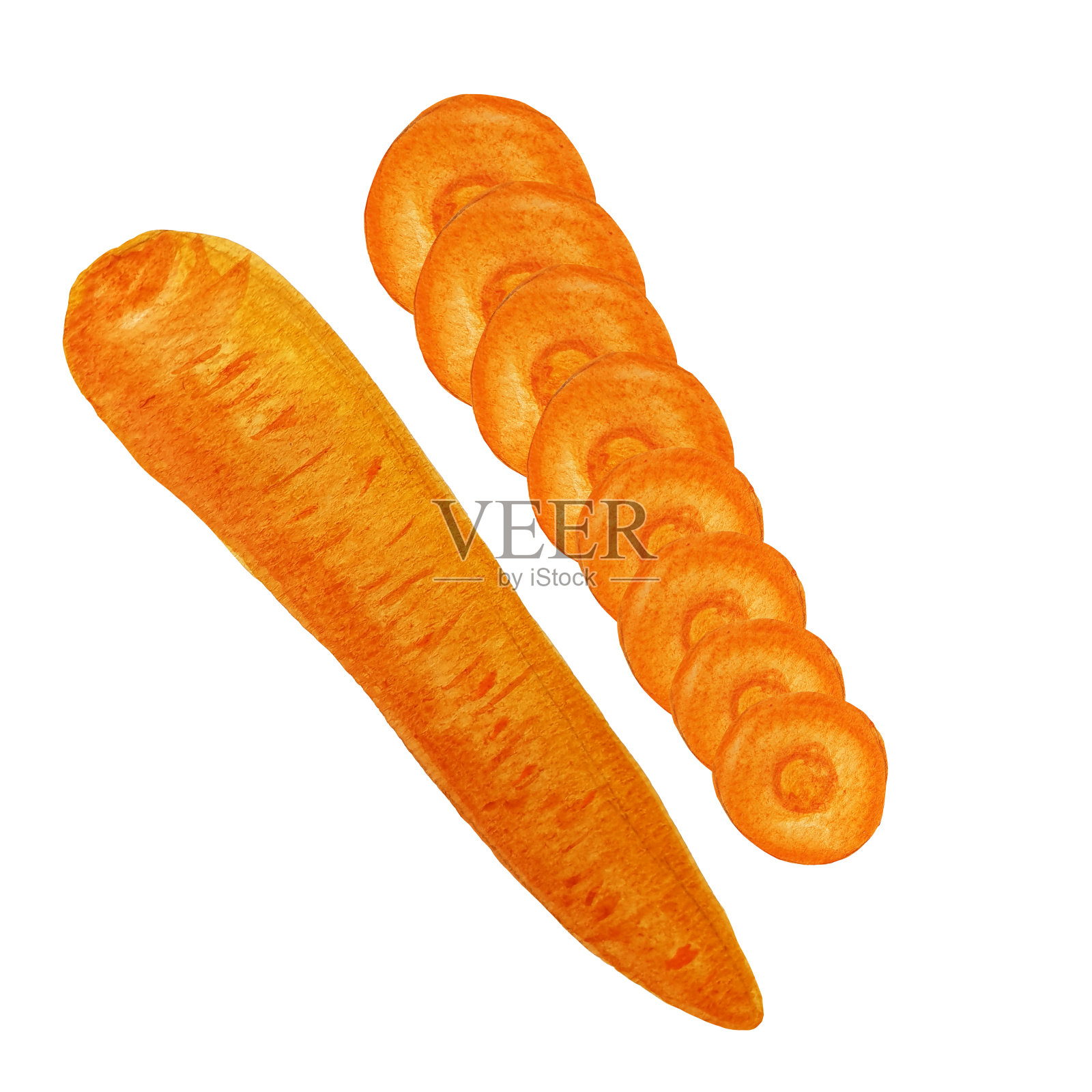 水彩手绘胡萝卜整个和切片插画图片素材