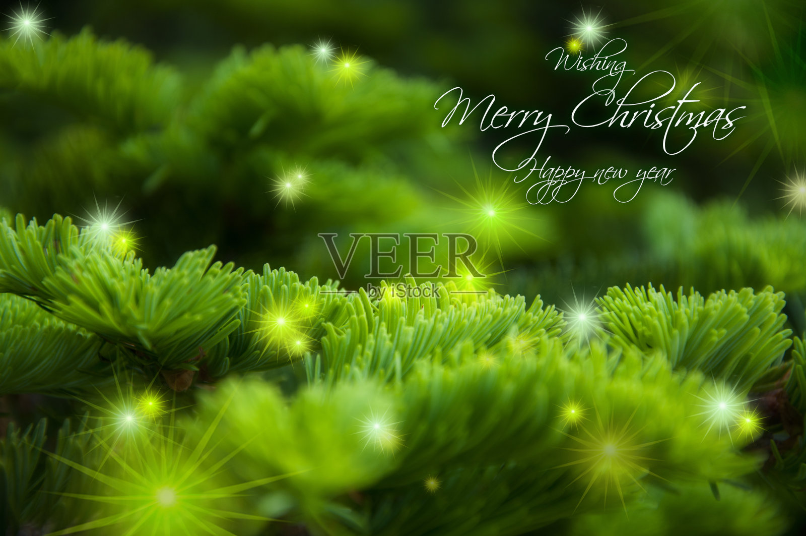 圣诞，贺卡，背景，柏树，星爆照片摄影图片
