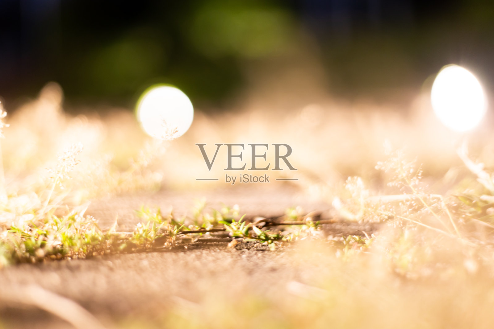 模糊图像和背景图像，反射光。相机拍摄雨后的夜晚。照片摄影图片