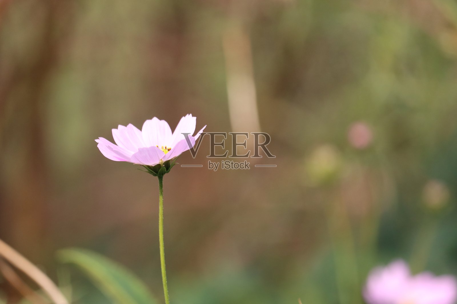 宇宙照片摄影图片