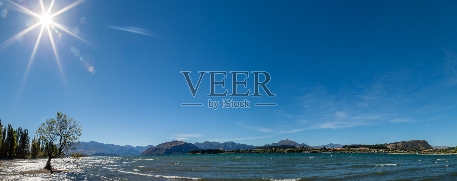 那棵瓦纳卡树在一个暴风雨的秋天。天空晴朗无云，狂风在瓦纳卡湖上吹起水花。照片摄影图片