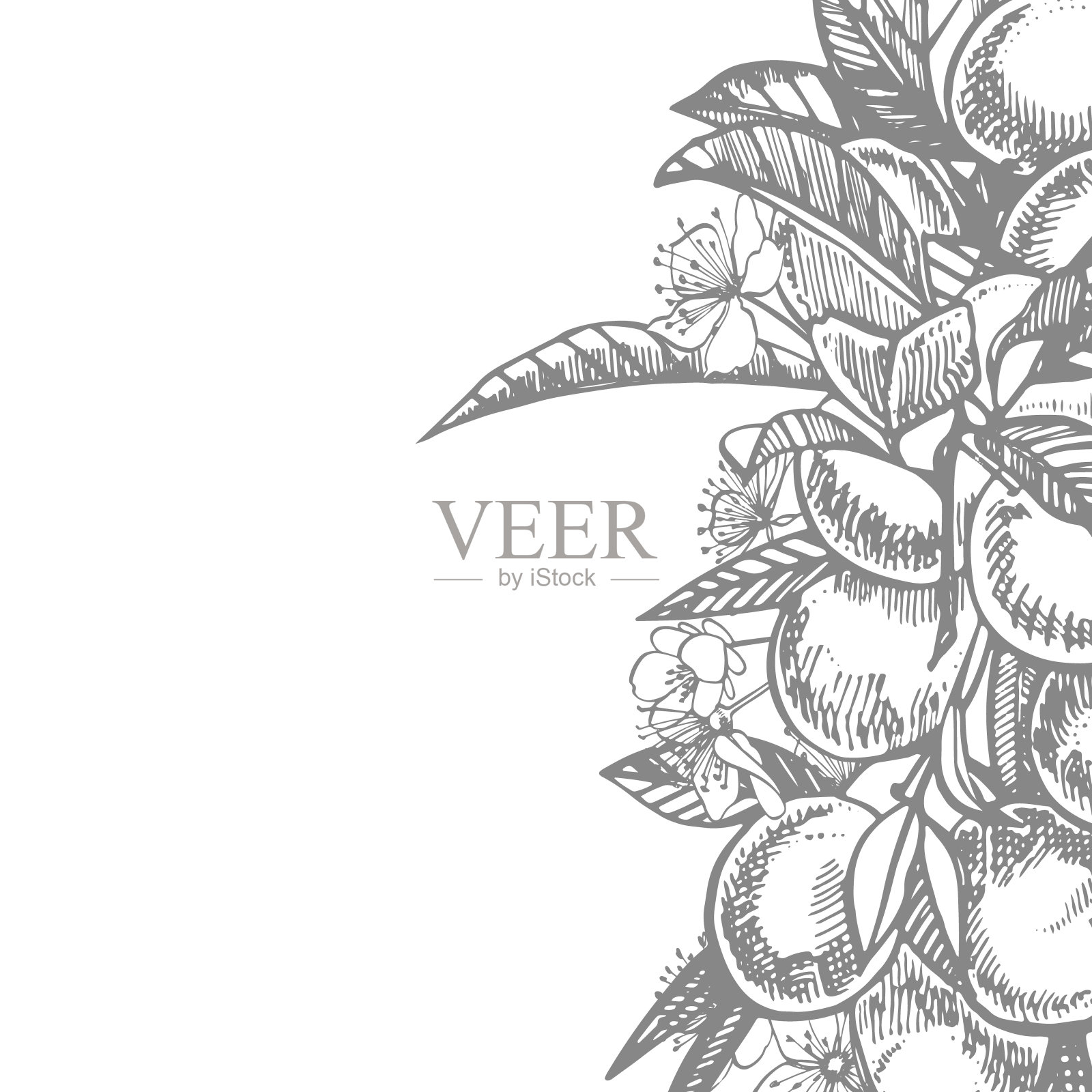 梅花手绘插图。墨水草图。手绘插图。无缝模式。健康的有机食品。农业市场产品。最适合包装设计。插画图片素材